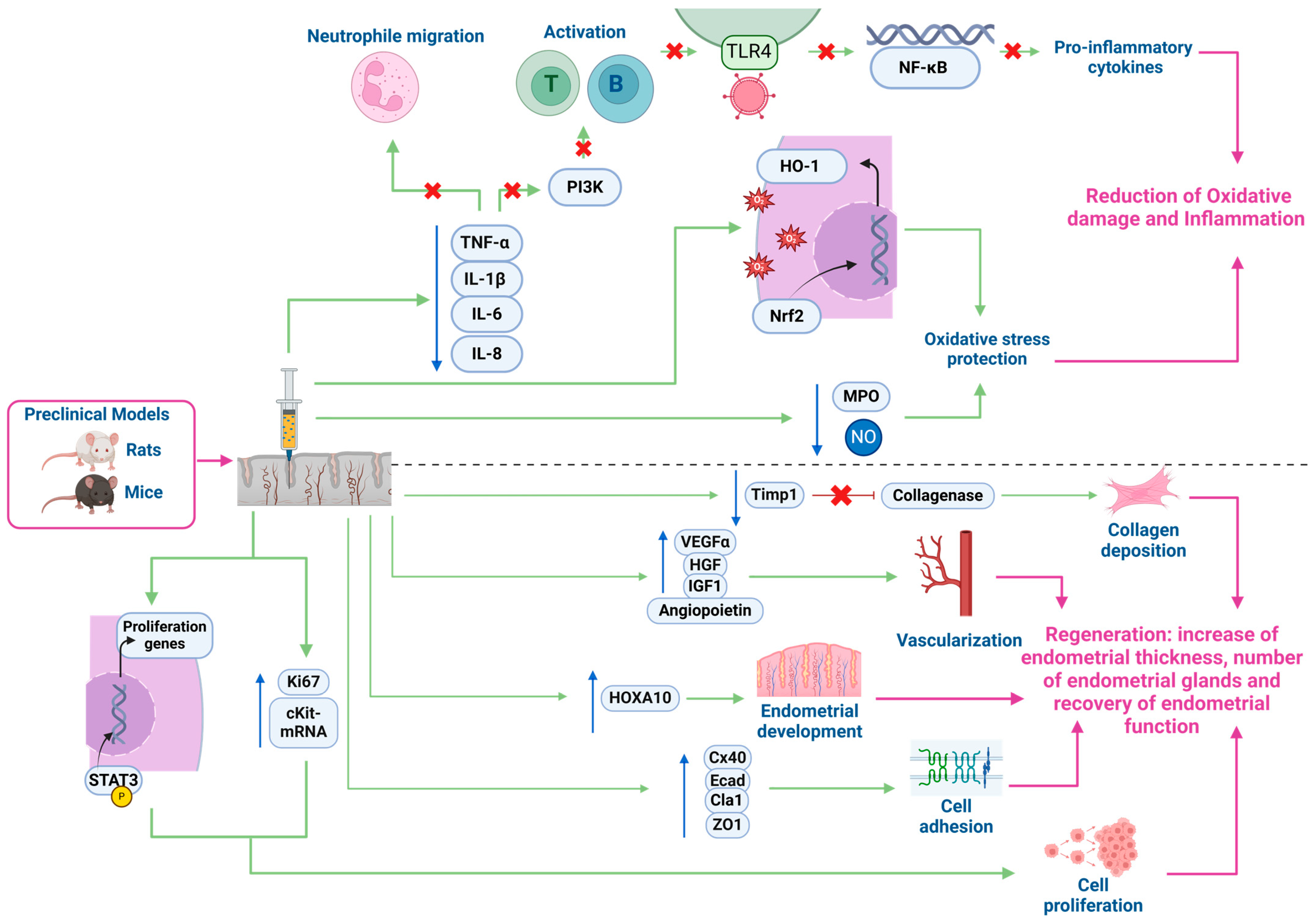 Biology 14 00319 g004