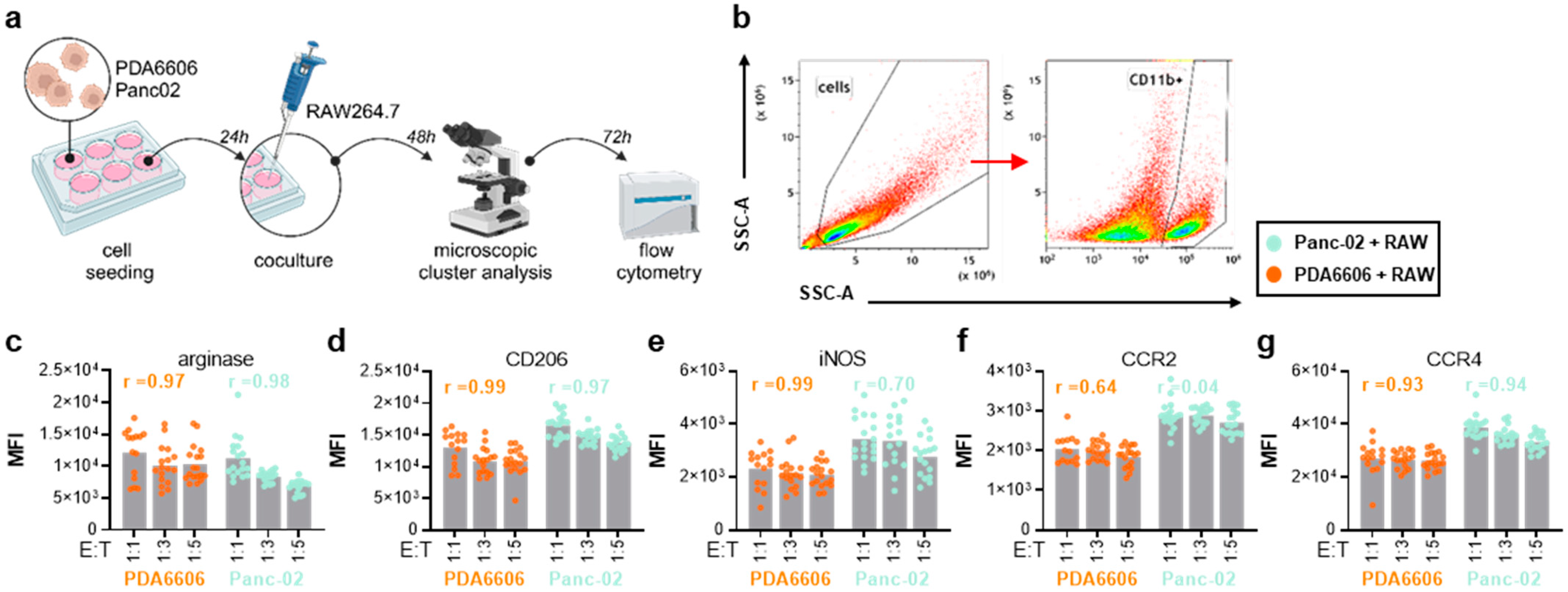 Biology 14 00320 g003