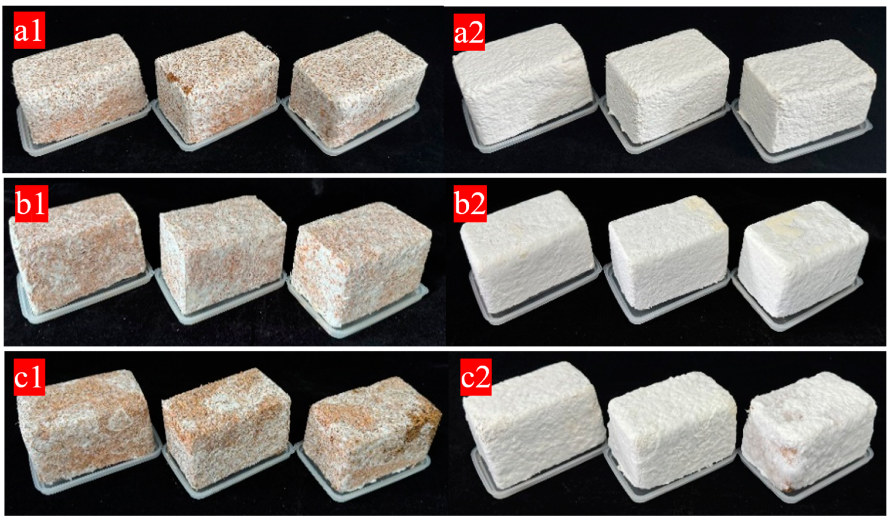 Biology 14 00322 g001