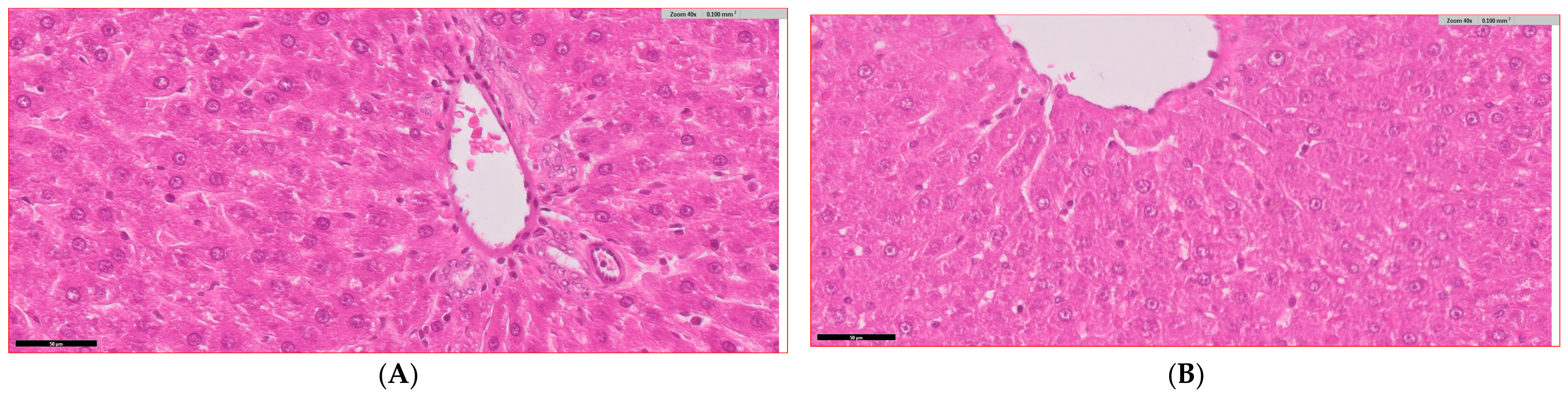 Biology 14 00323 g005a