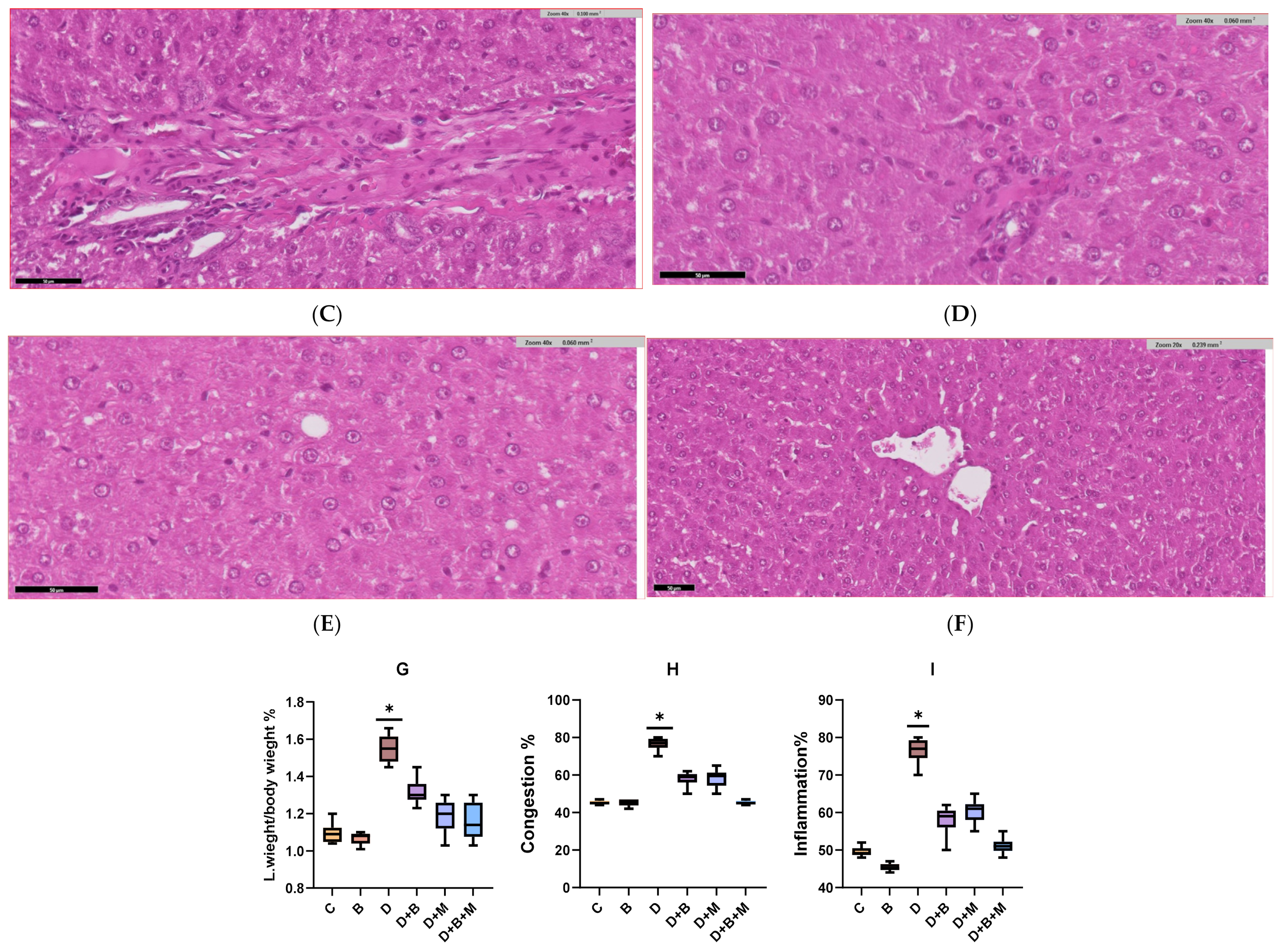 Biology 14 00323 g005b