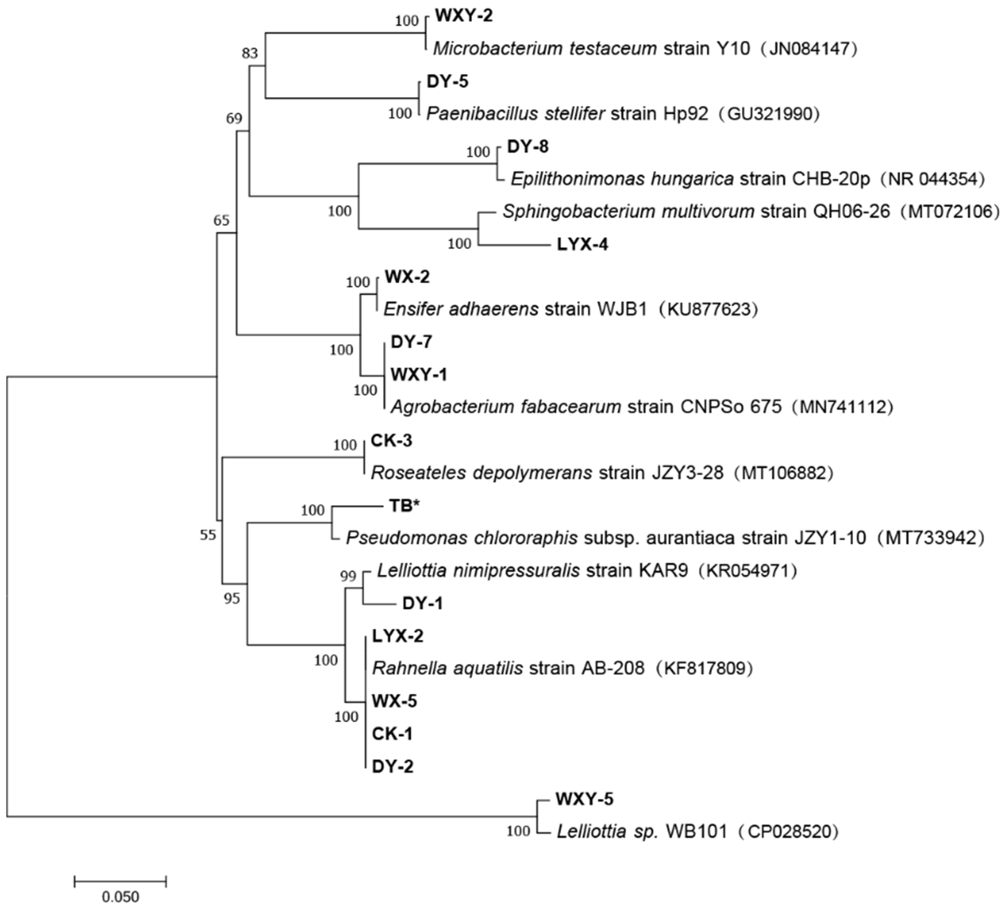 Biology 14 00325 g001