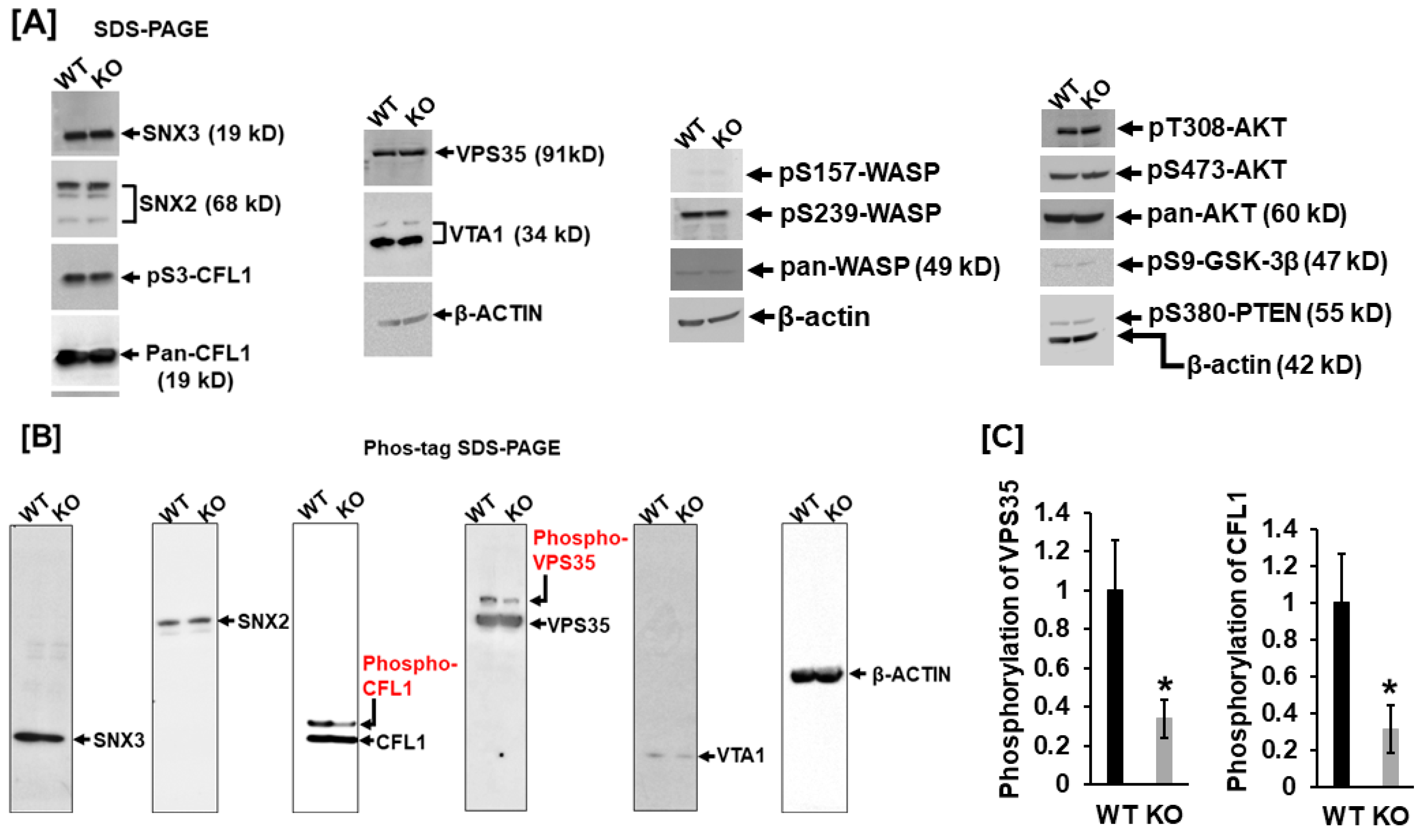 Biology 14 00326 g003