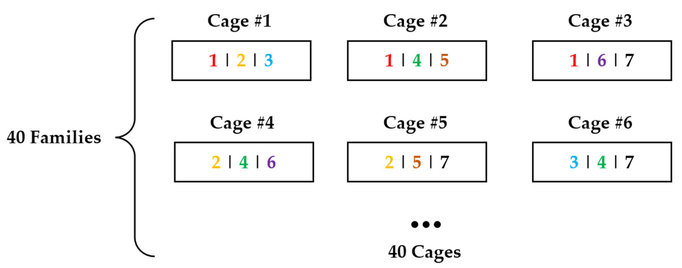 Biology 14 00328 g001