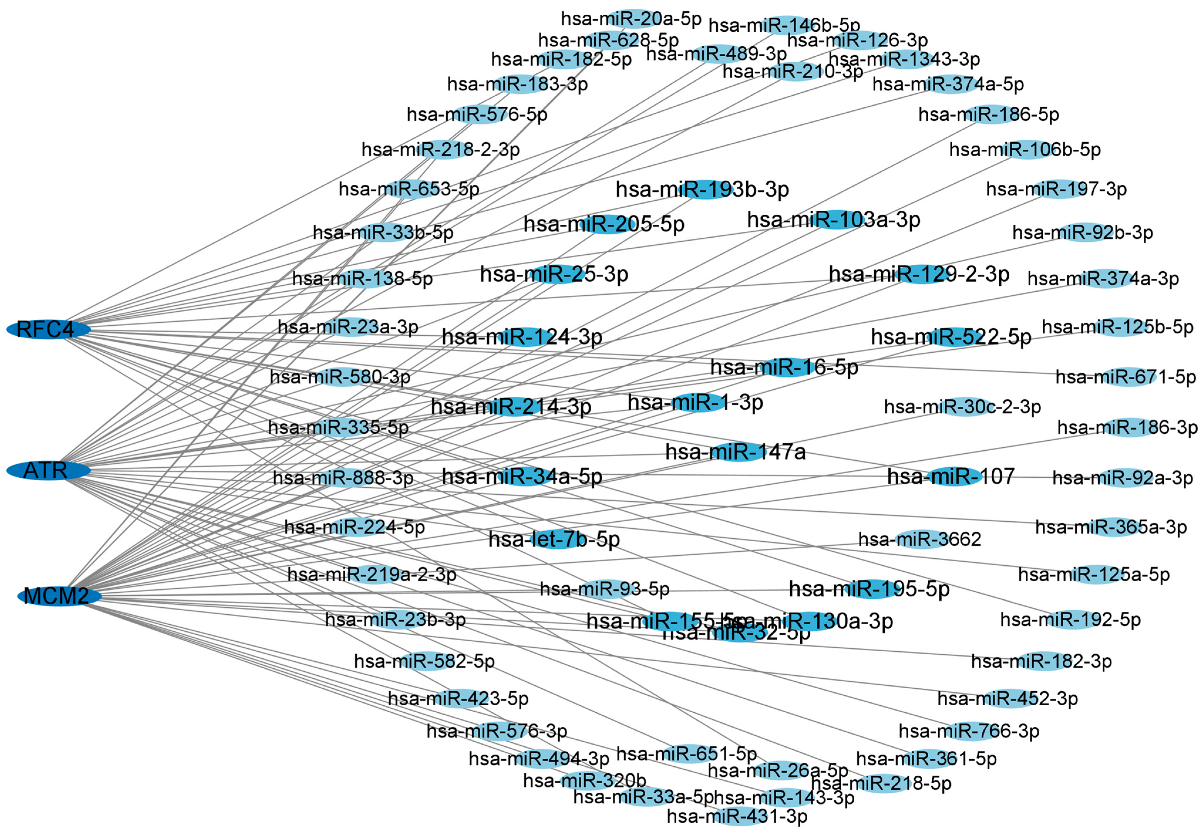 Biology 14 00331 g006