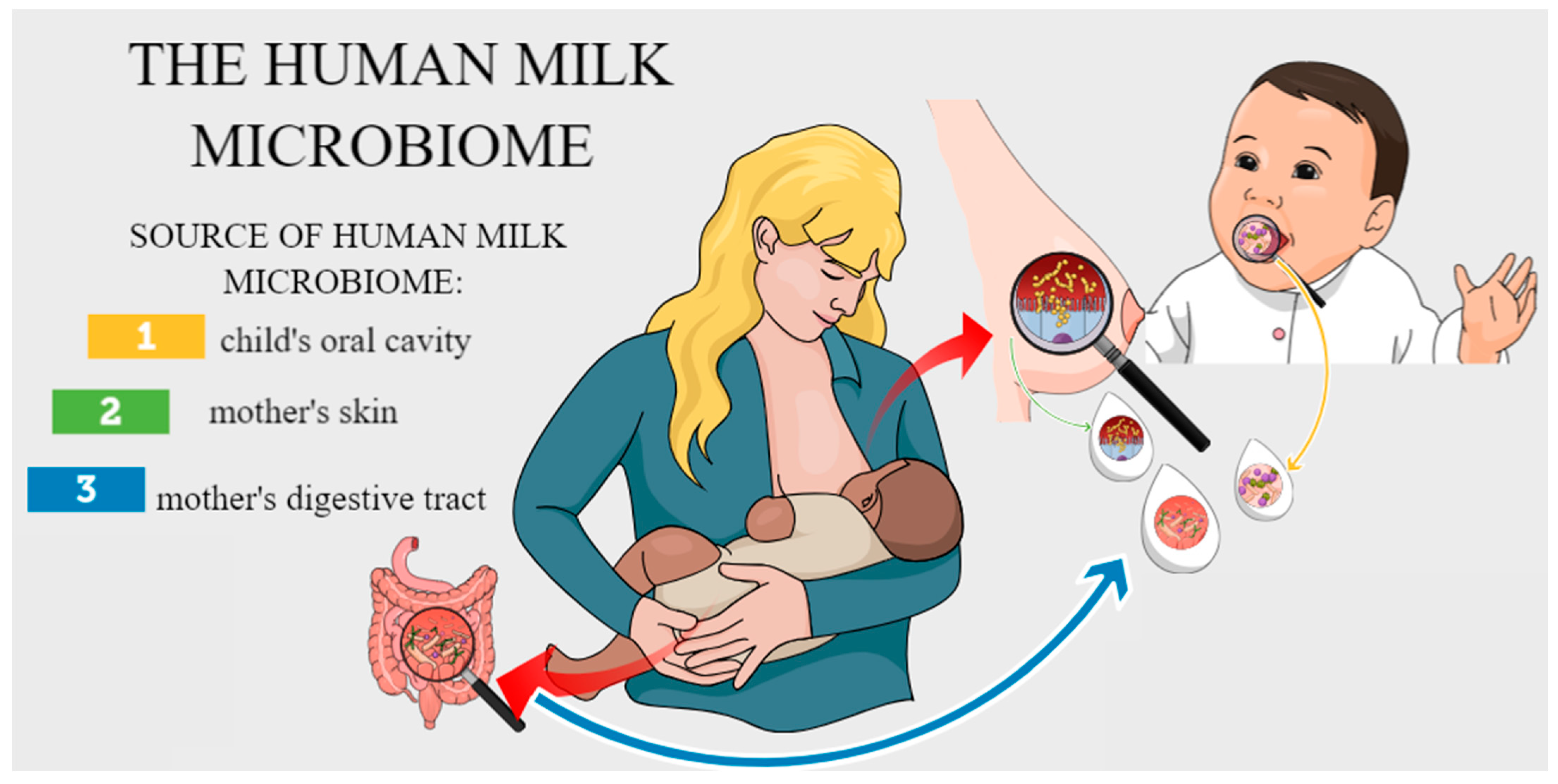 Biology 14 00332 g001