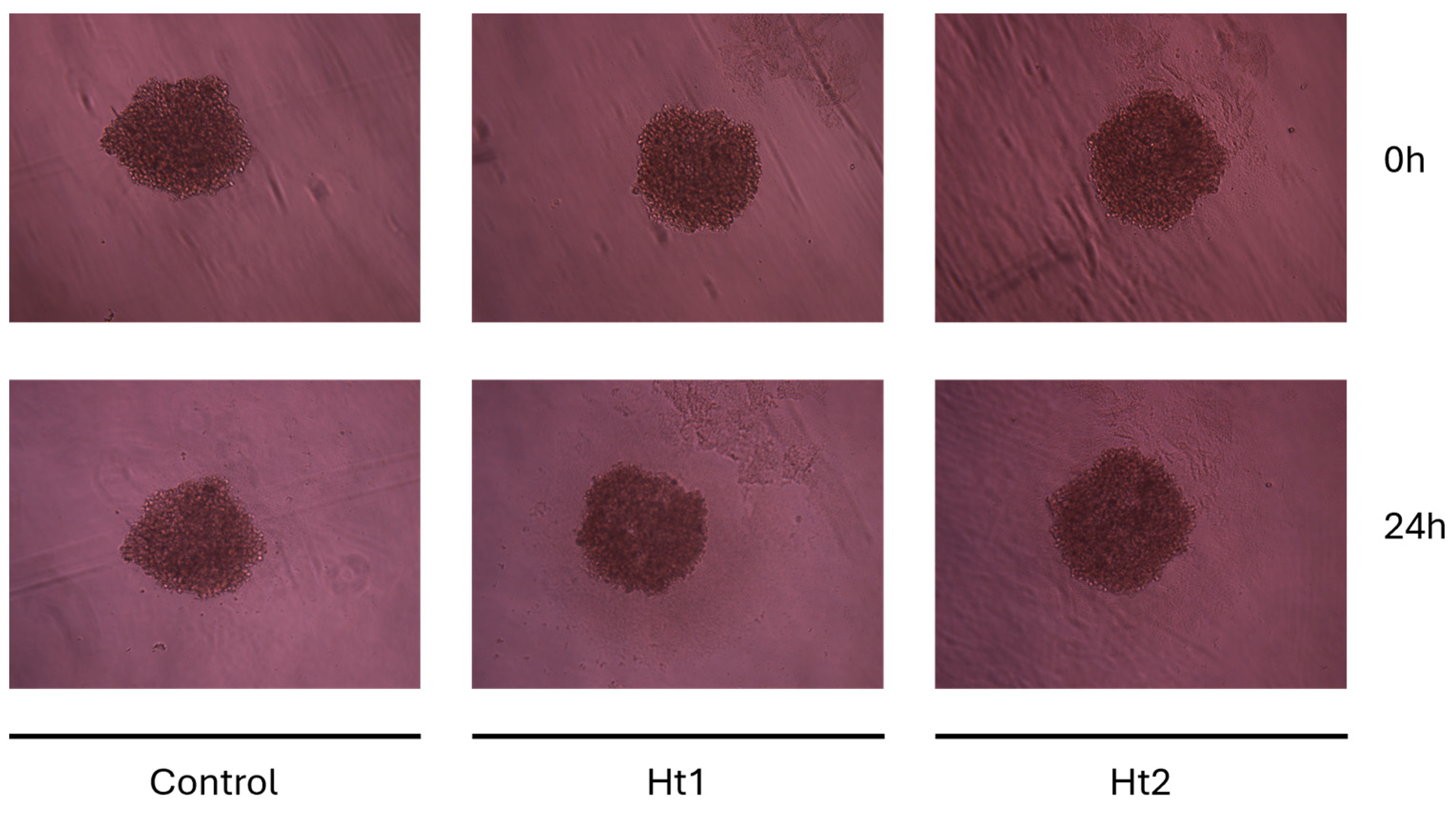 Biology 14 00334 g007