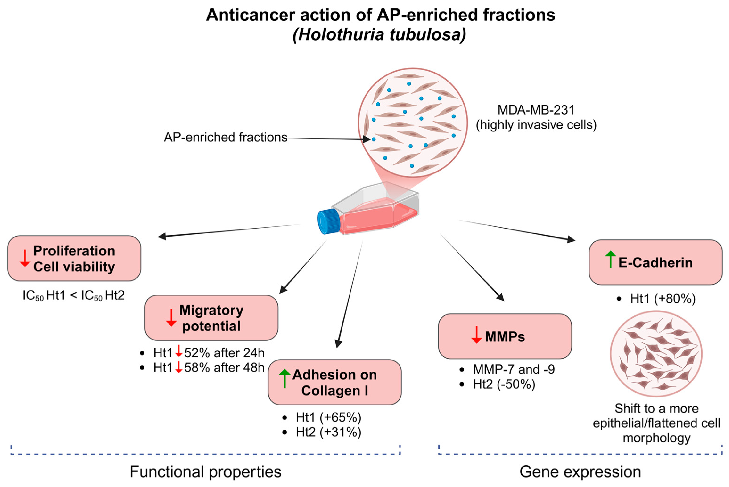 Biology 14 00334 g008