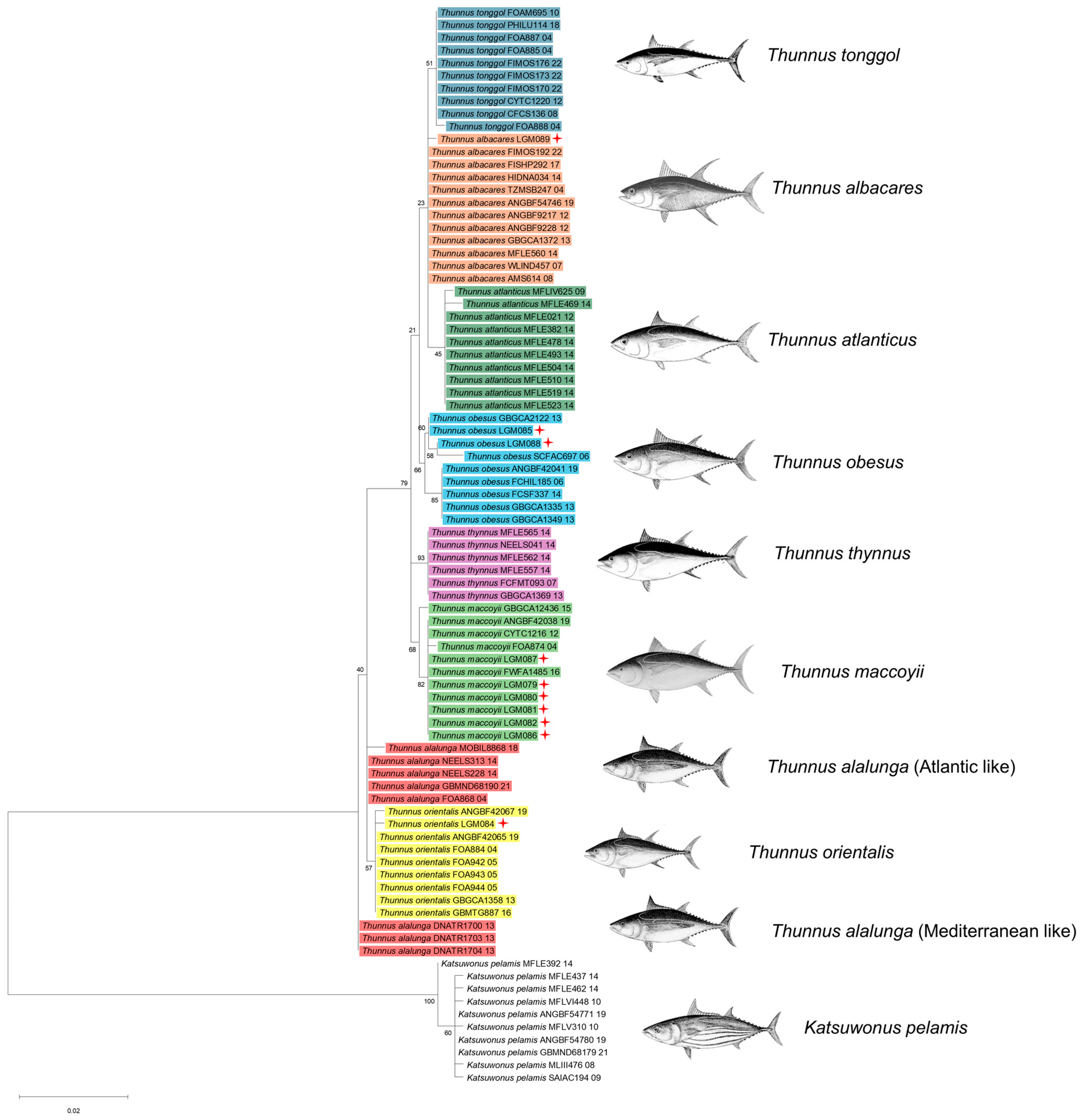 Biology 14 00340 g002 Biology 14 00340 g002