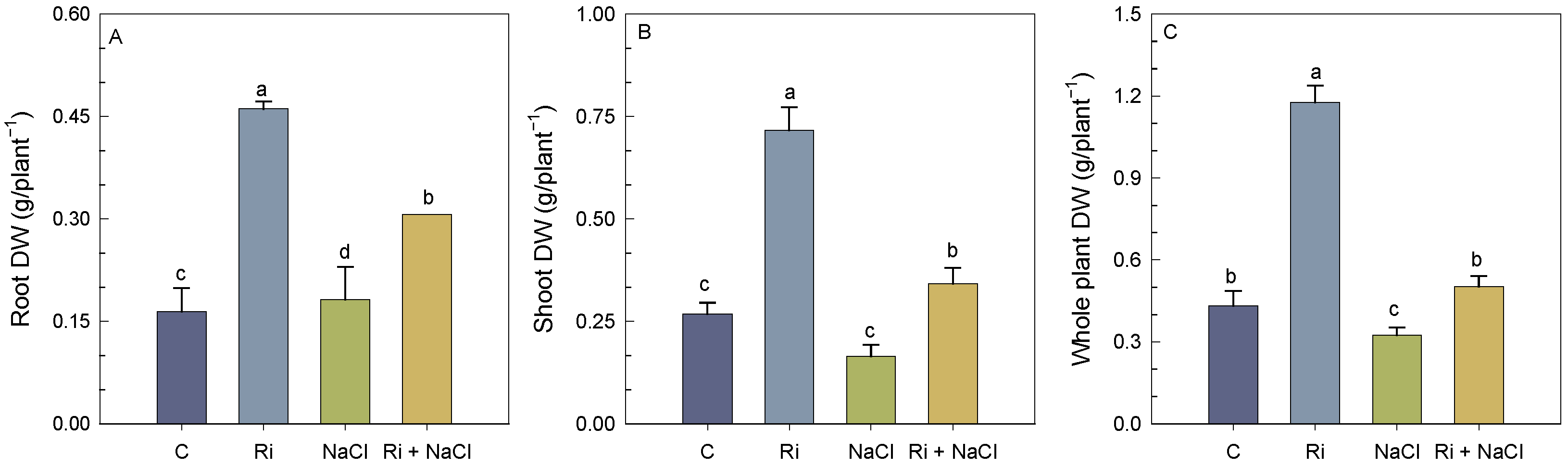 Biology 14 00341 g001
