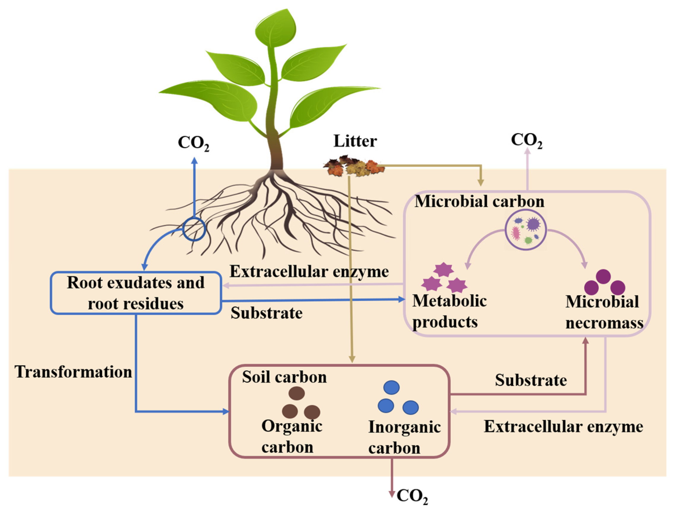 Biology 14 00348 g001 Biology 14 00348 g001