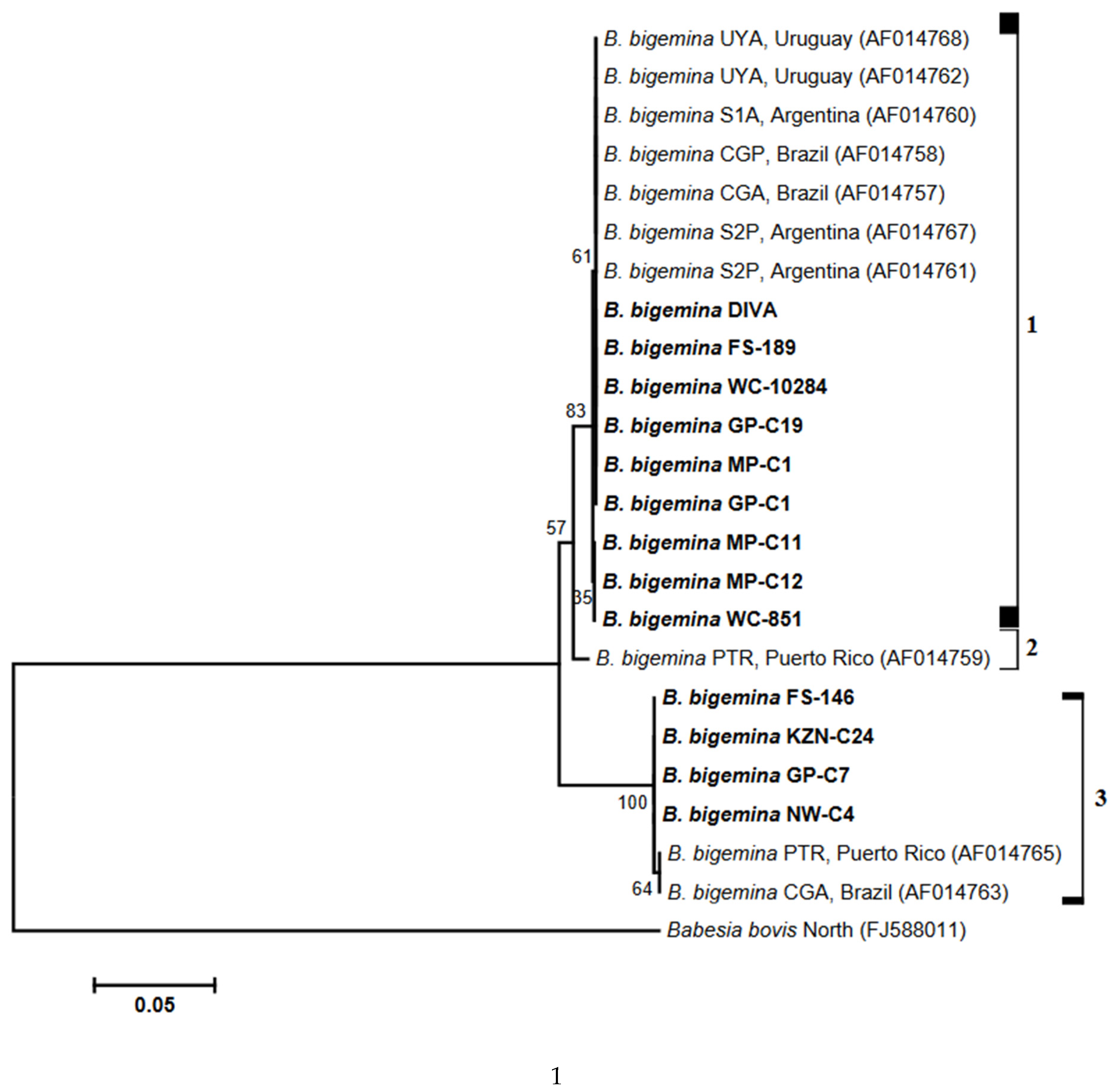 Biology 14 00355 g001