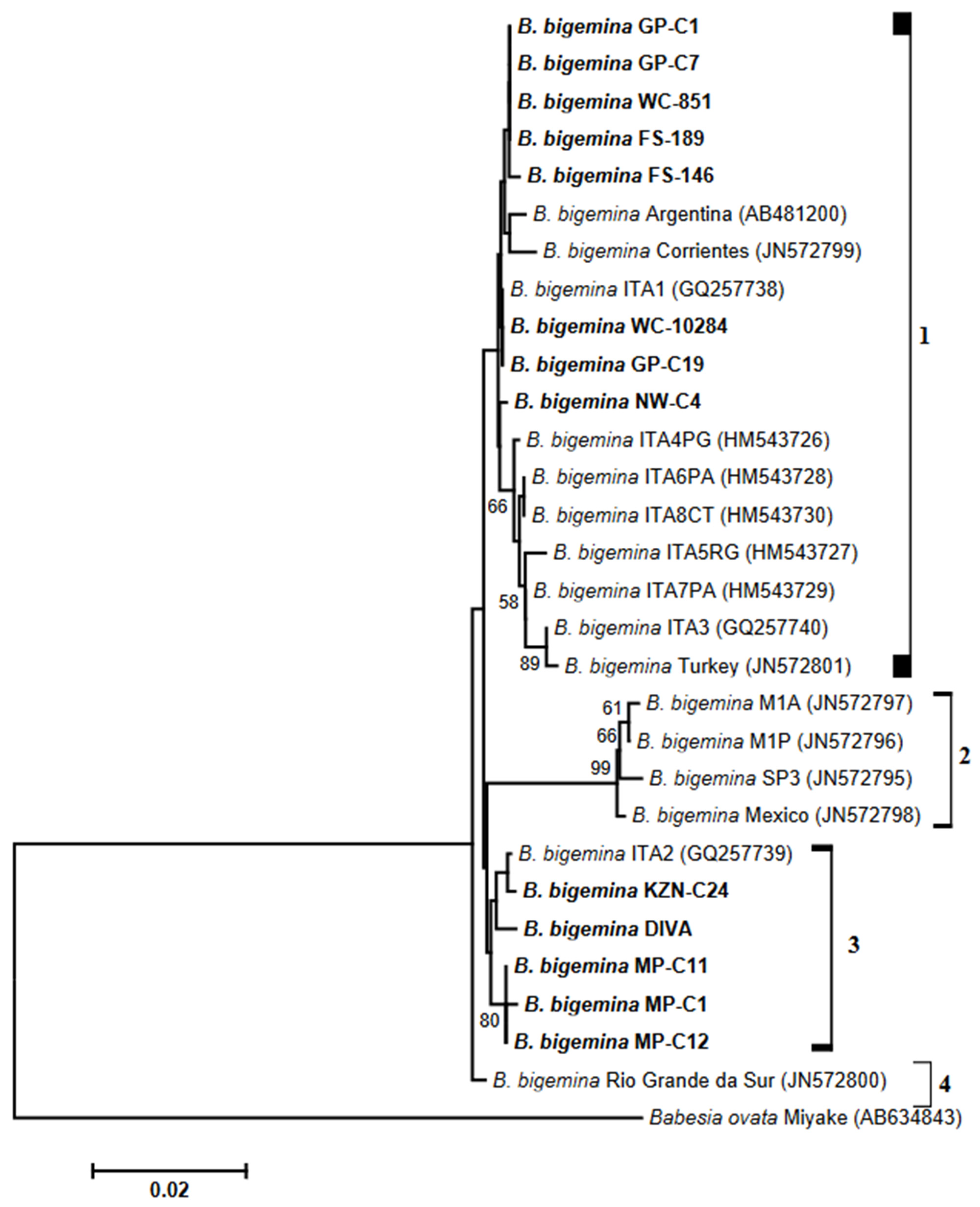 Biology 14 00355 g002
