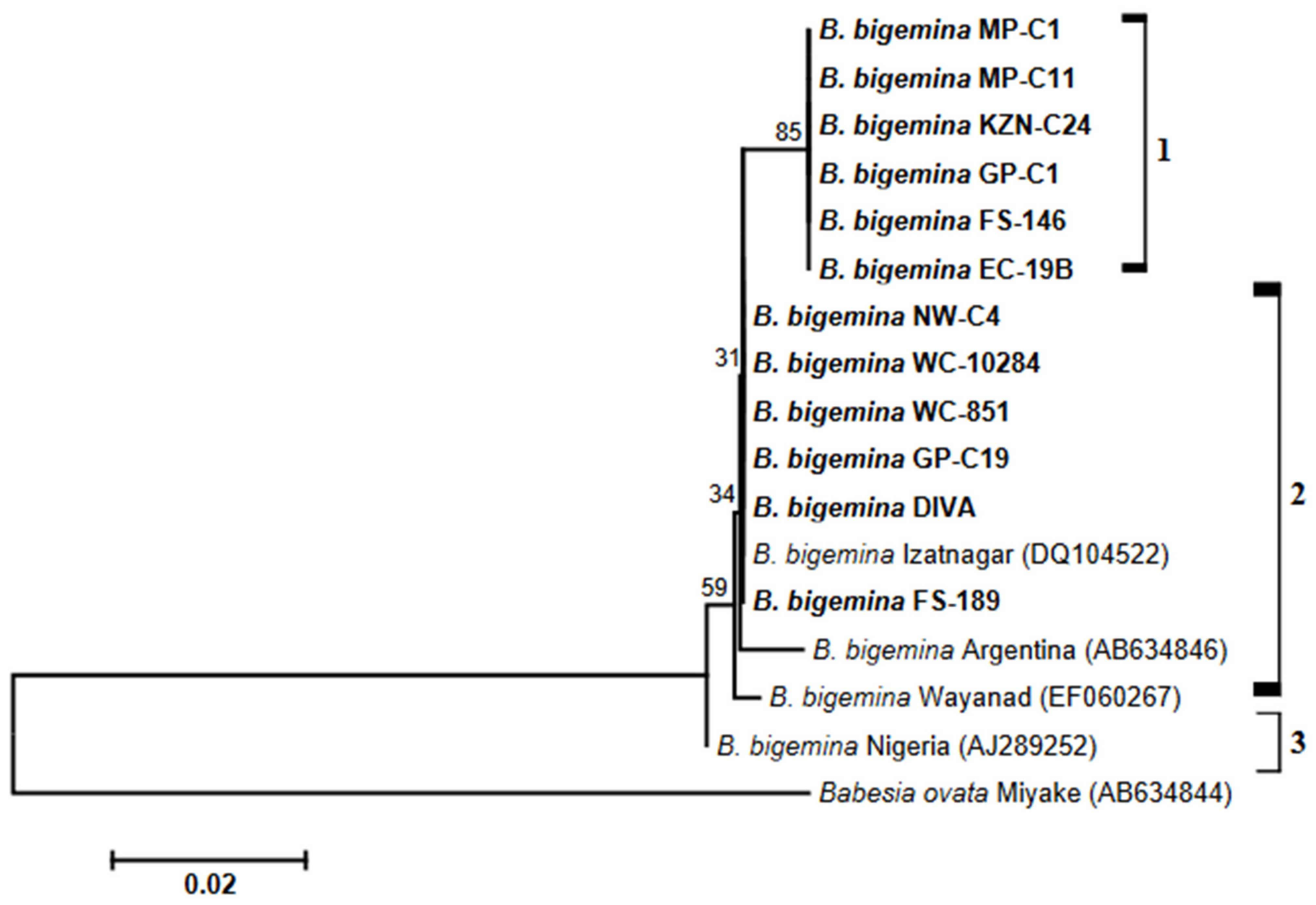 Biology 14 00355 g003