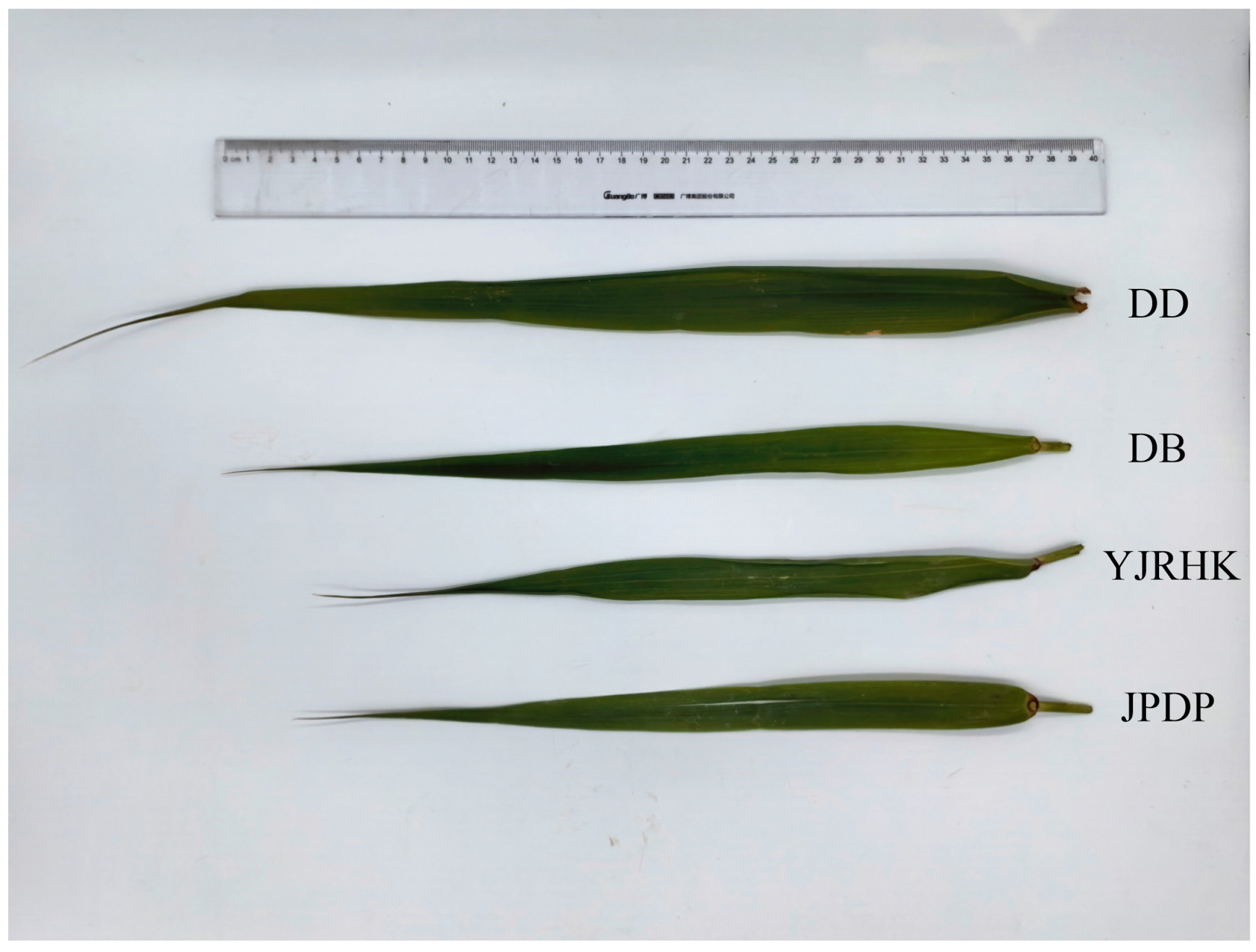 Biology 14 00356 g008