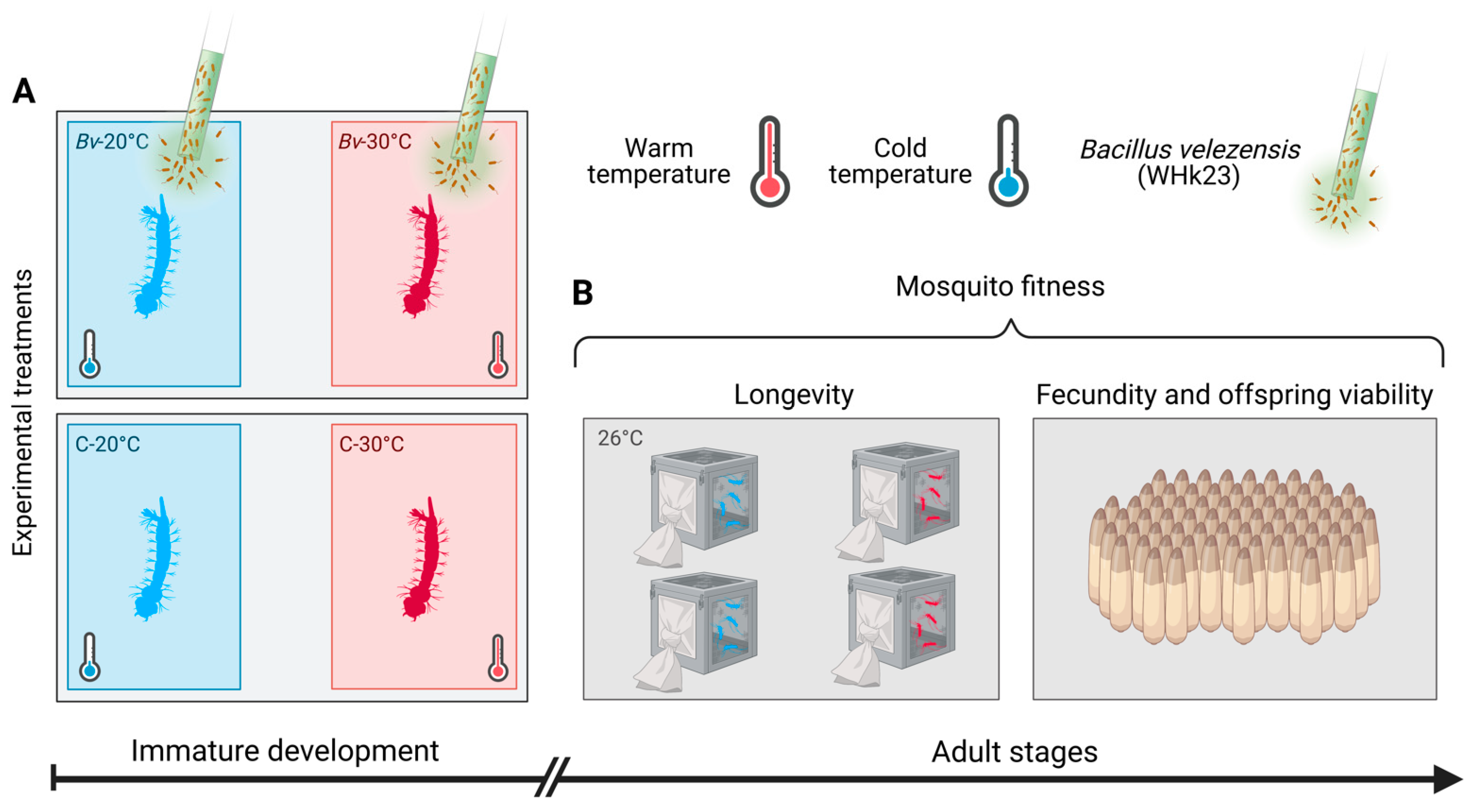 Biology 14 00357 g001