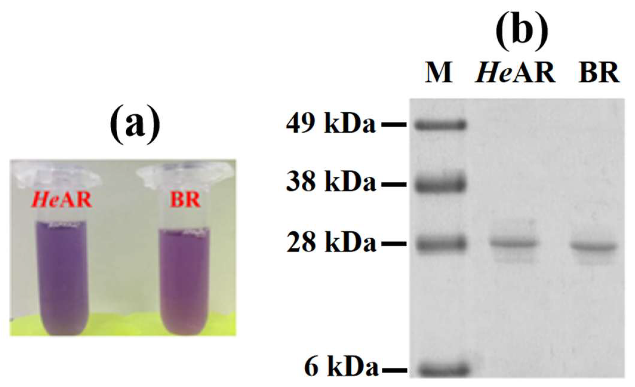 Biology 14 00360 g001 Biology 14 00360 g001