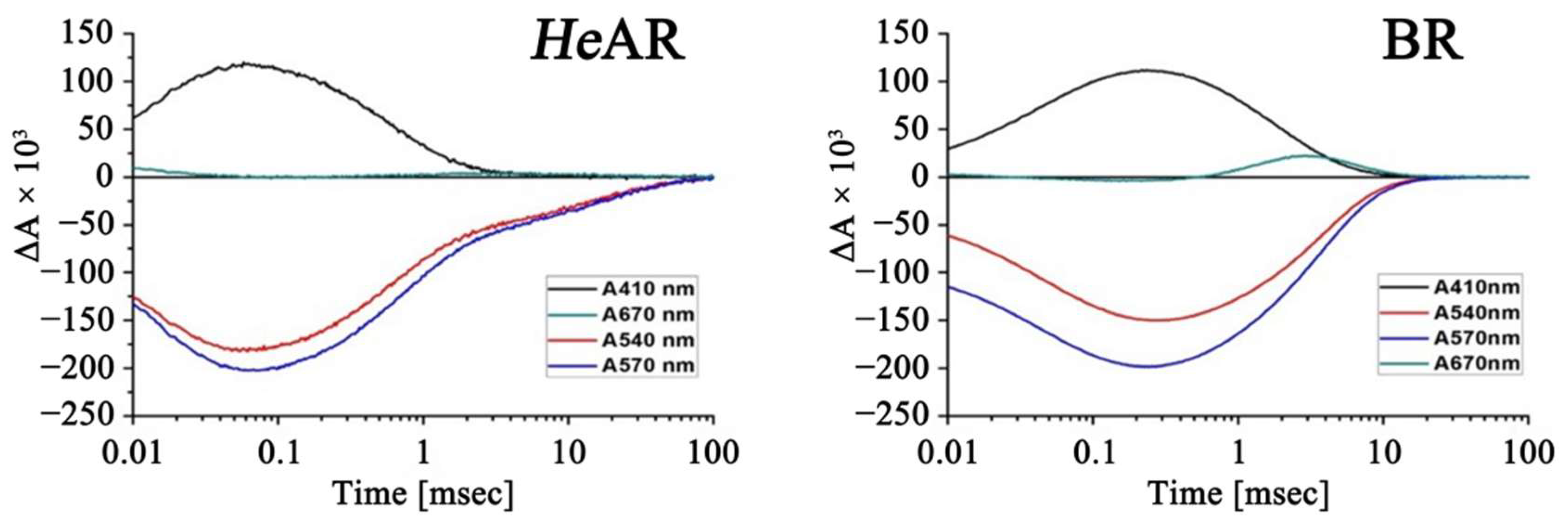 Biology 14 00360 g007 Biology 14 00360 g007