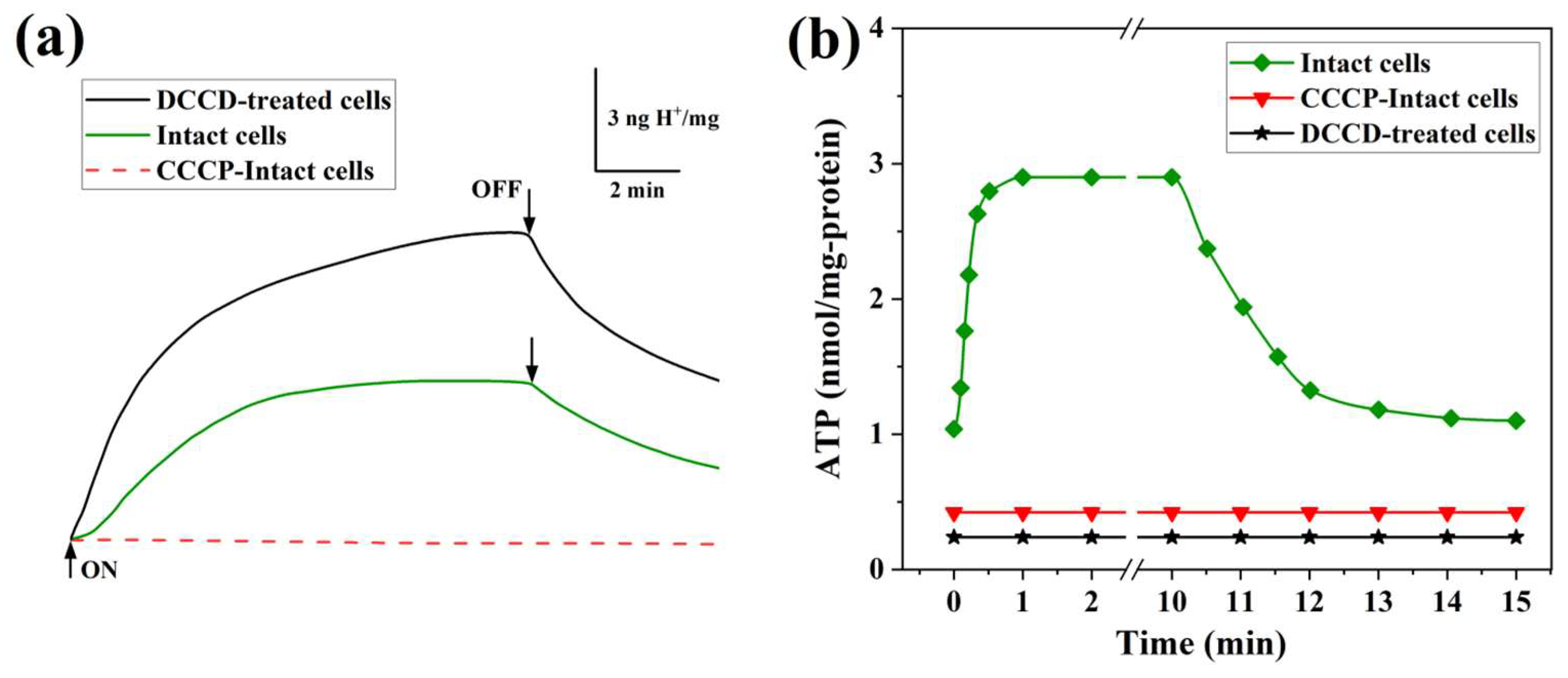Biology 14 00360 g008 Biology 14 00360 g008