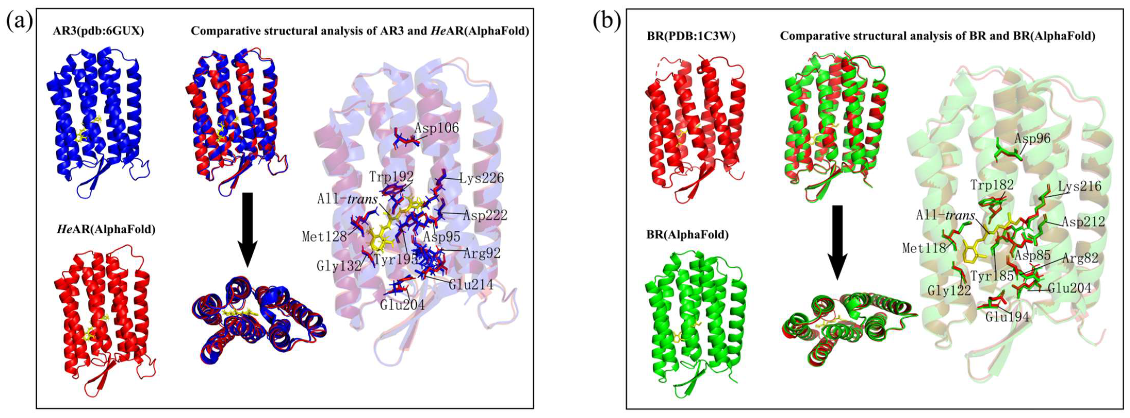 Biology 14 00360 g011 Biology 14 00360 g011