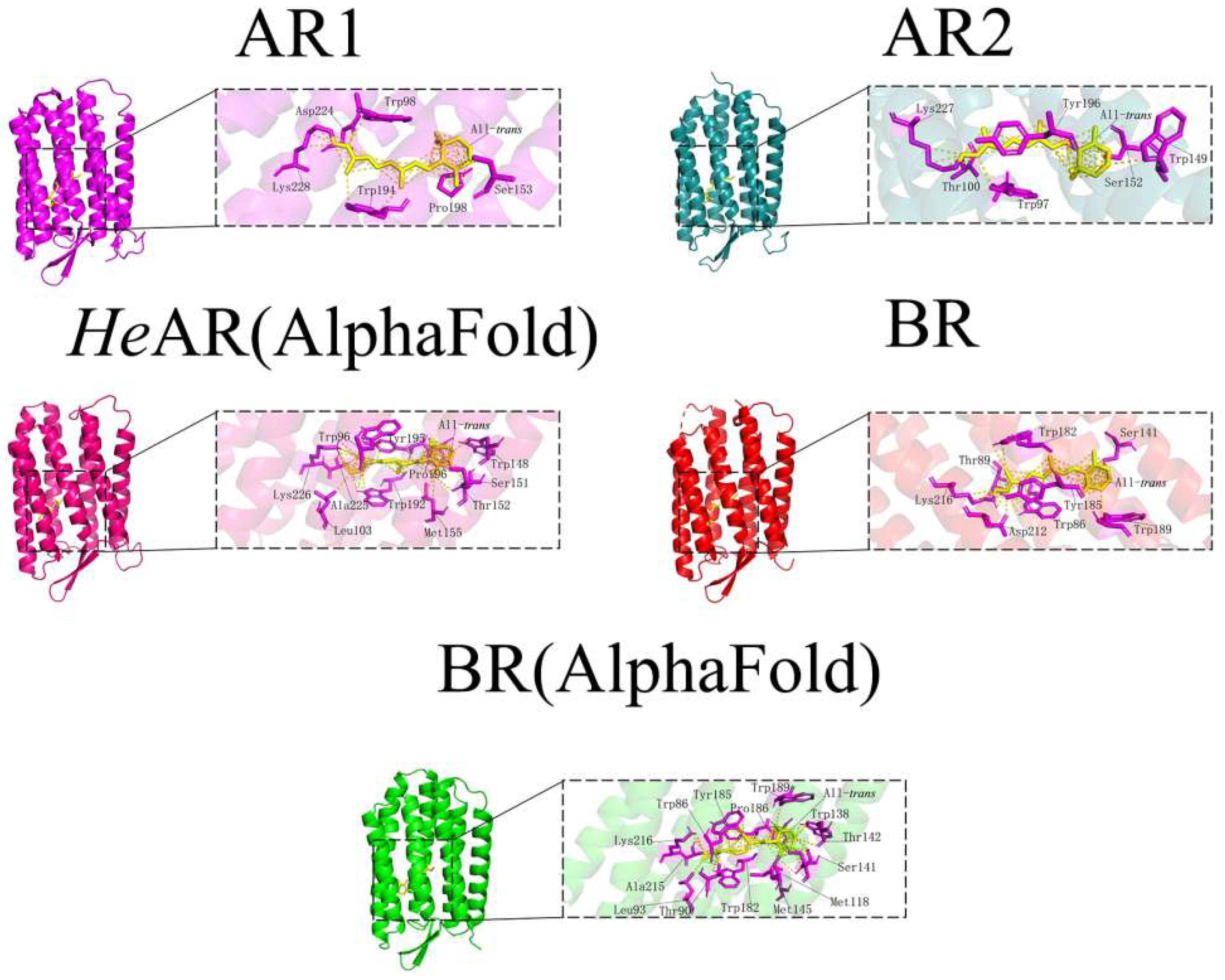 Biology 14 00360 g013 Biology 14 00360 g013