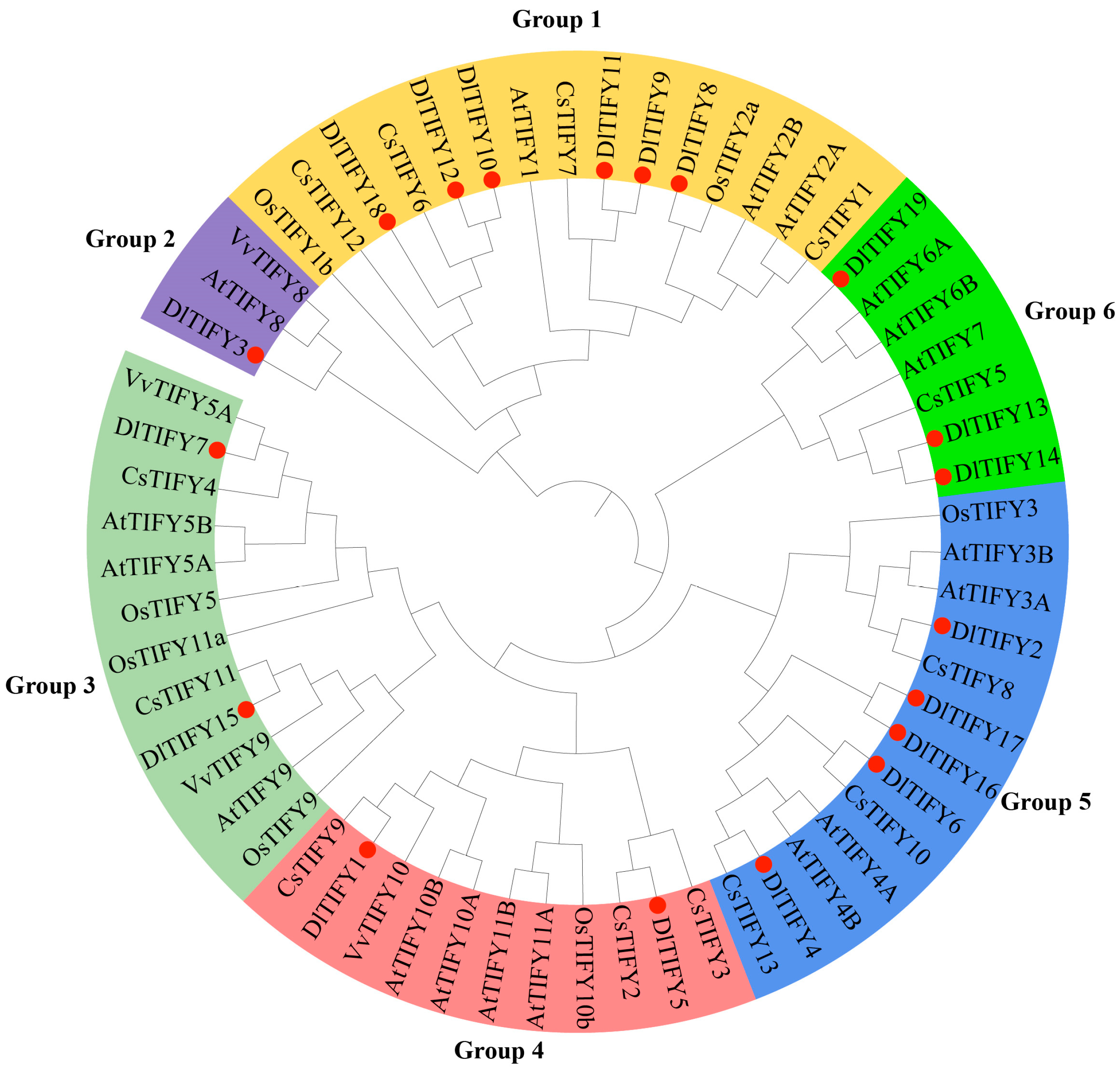 Biology 14 00364 g002