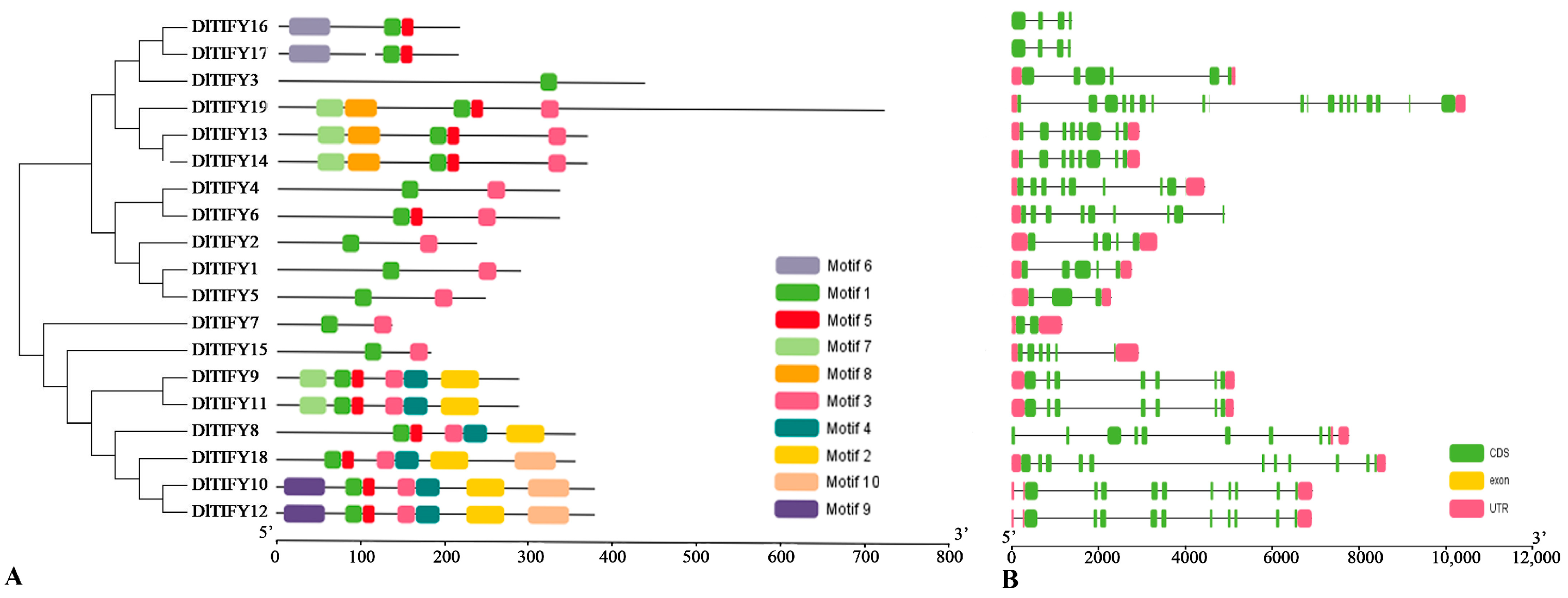 Biology 14 00364 g003