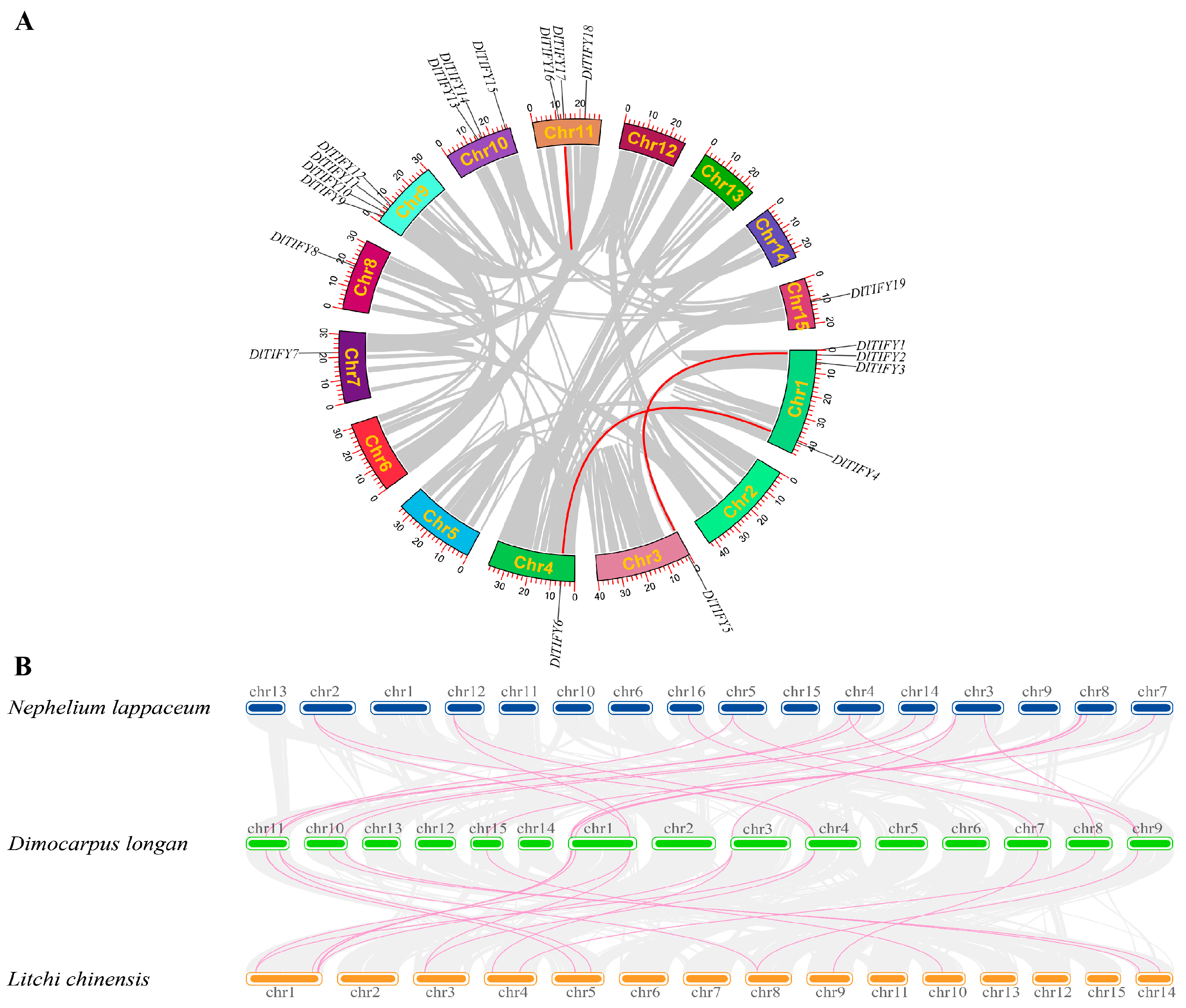 Biology 14 00364 g005