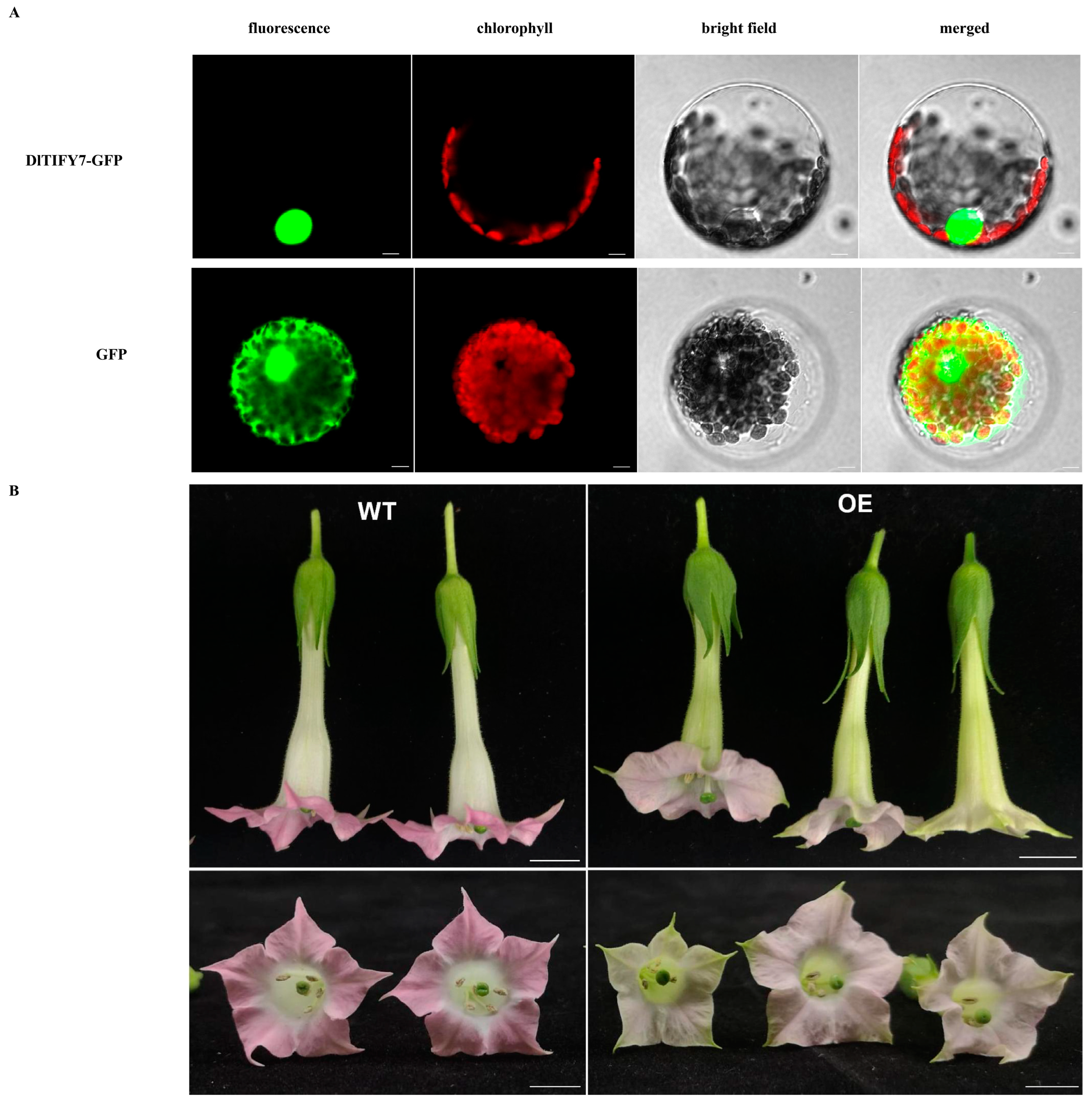 Biology 14 00364 g009