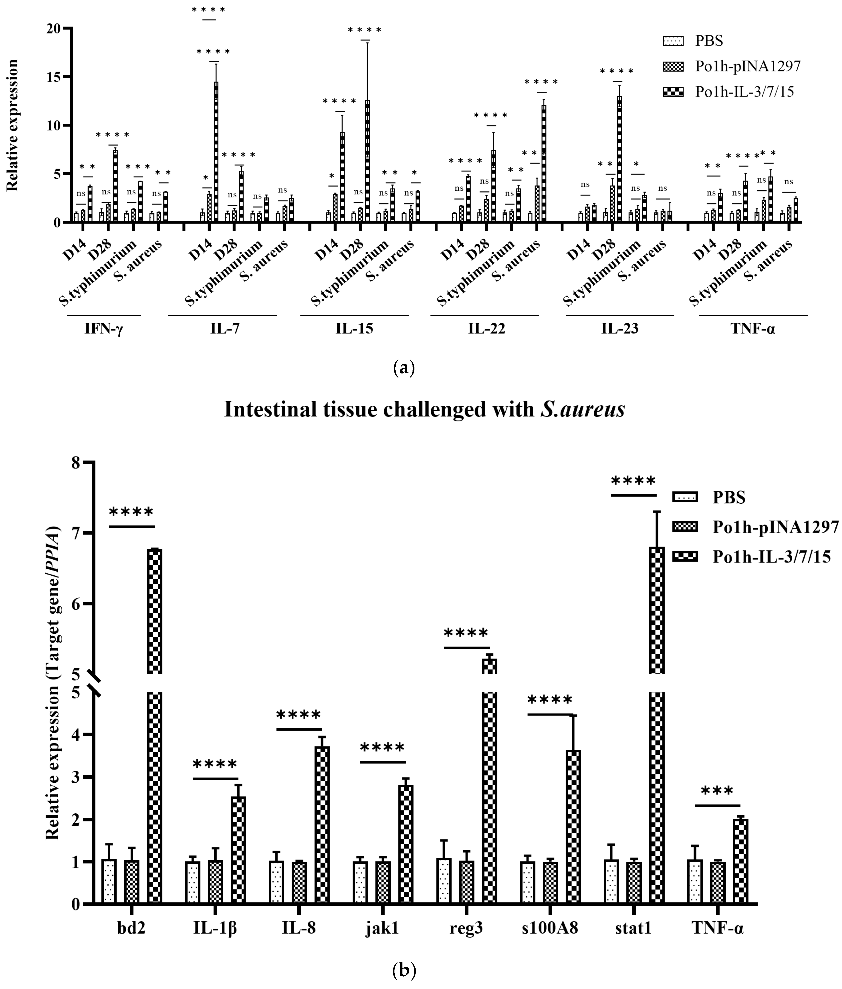 Biology 14 00366 g005