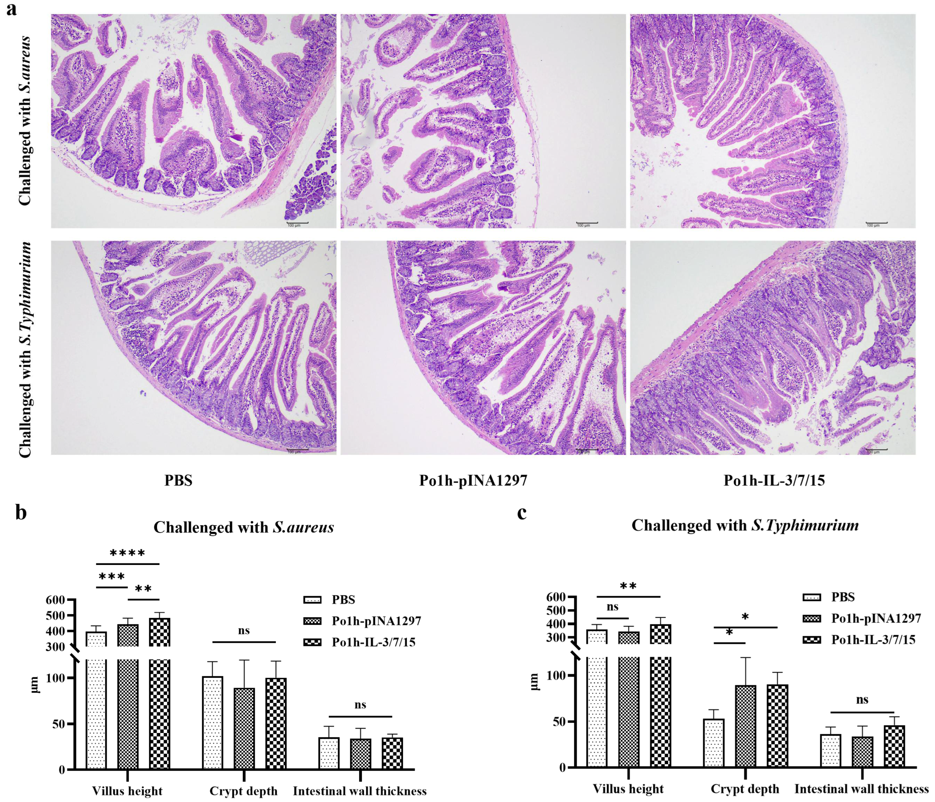 Biology 14 00366 g006