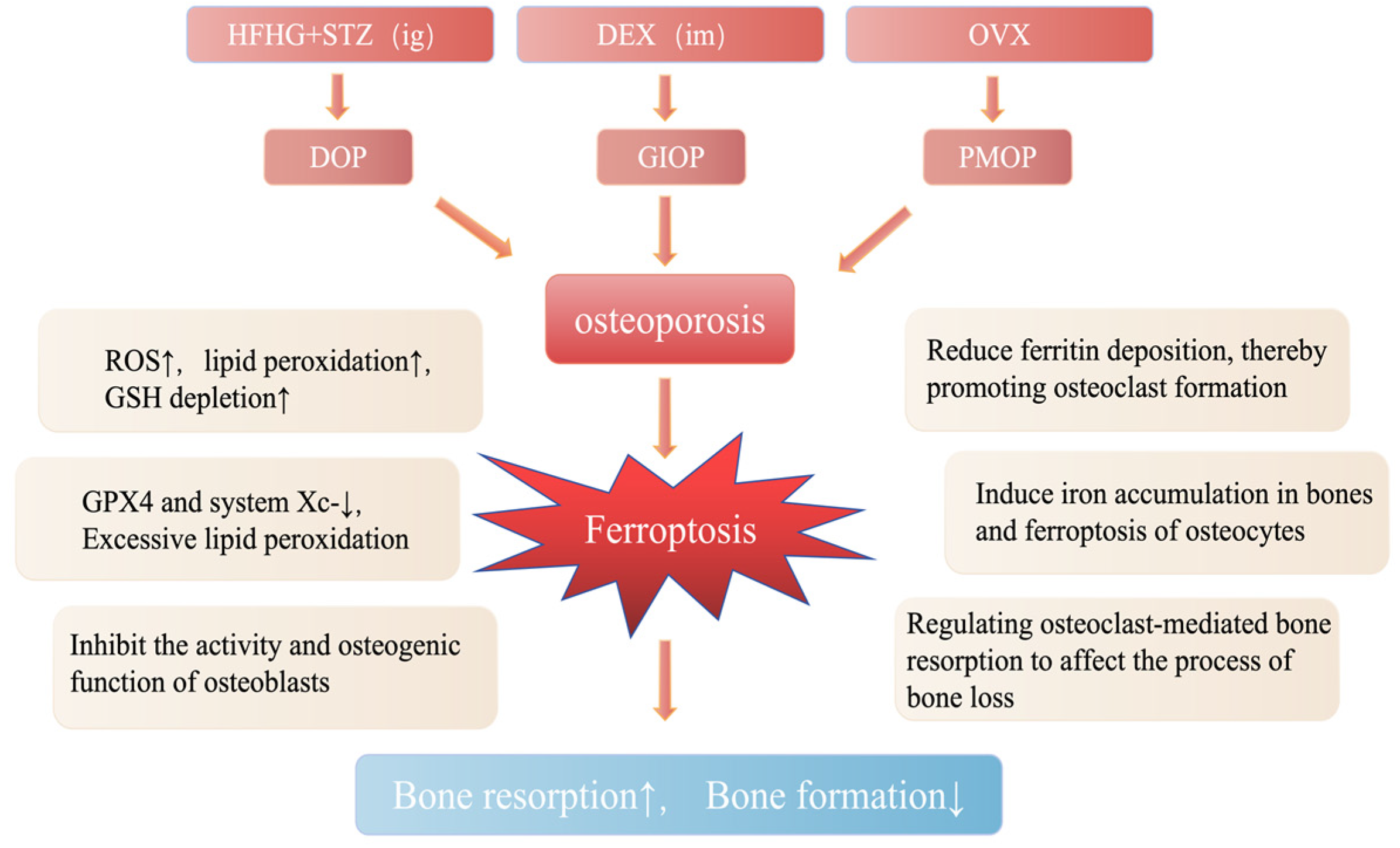 Biology 14 00367 g002