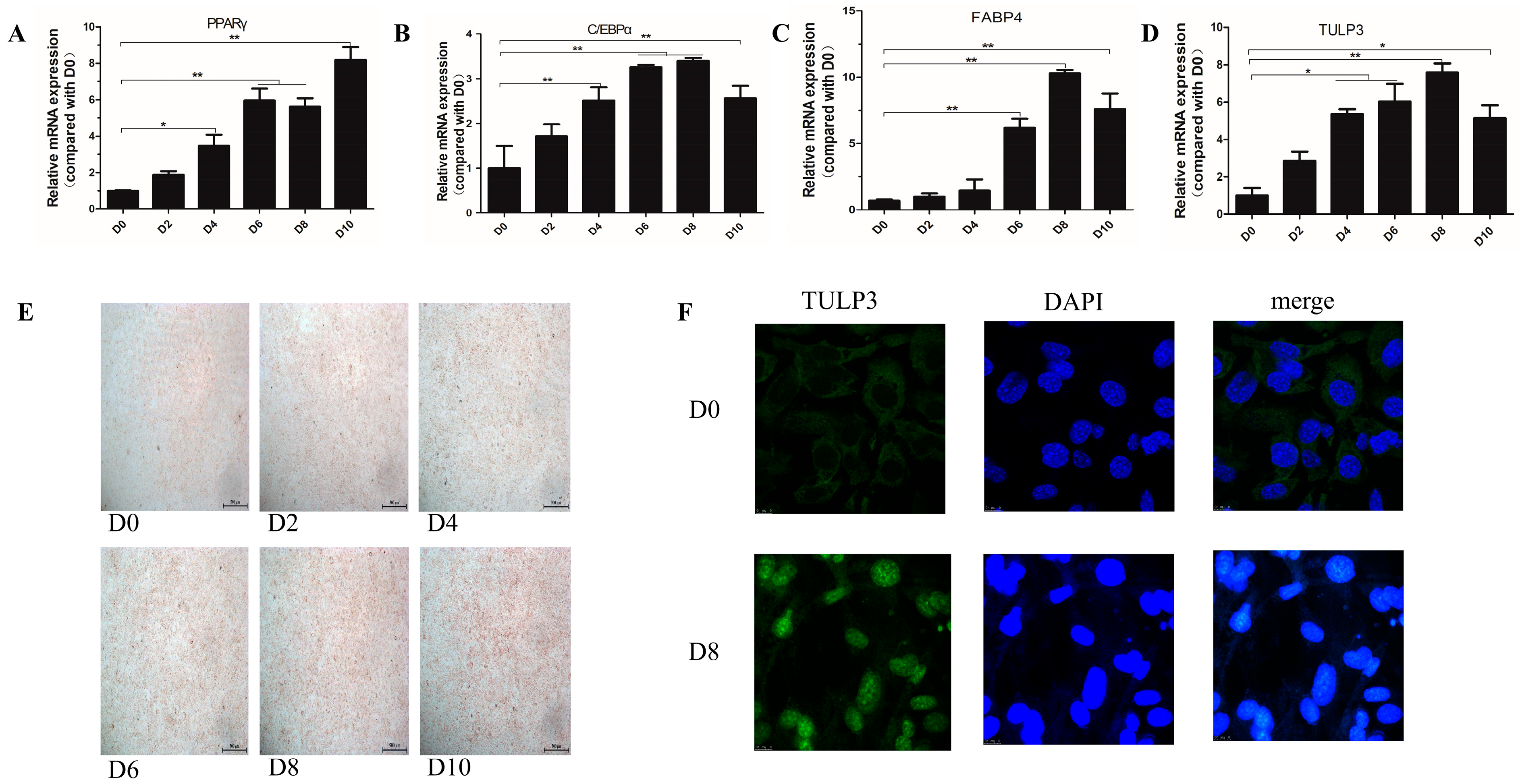 Biology 14 00369 g001