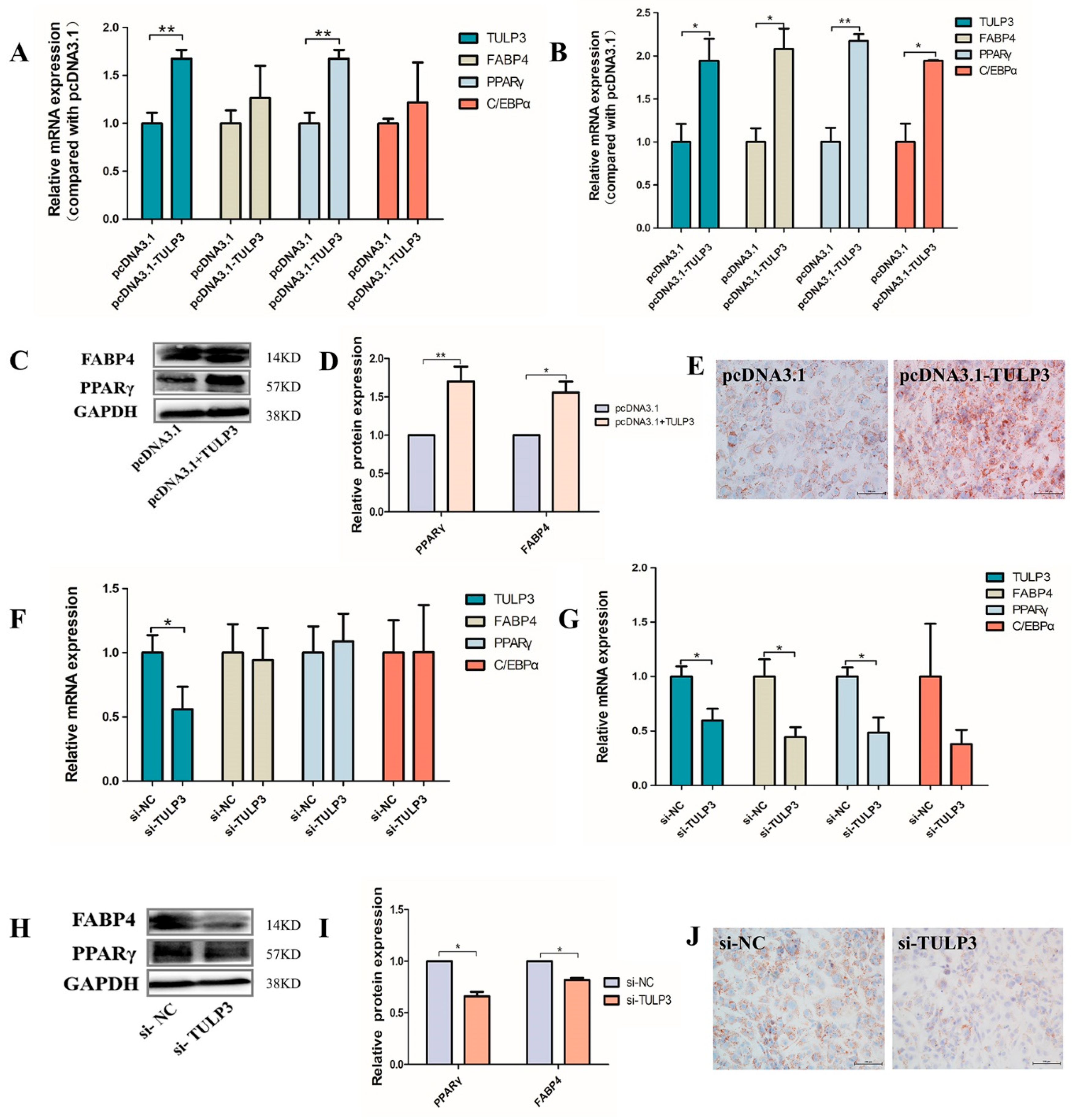 Biology 14 00369 g003