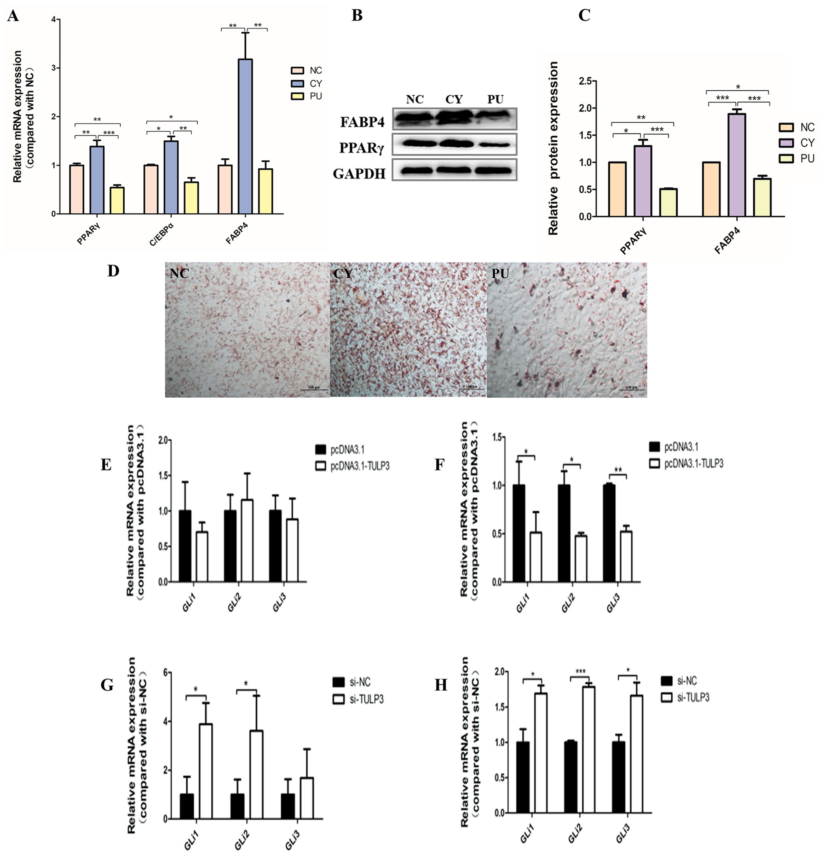 Biology 14 00369 g004