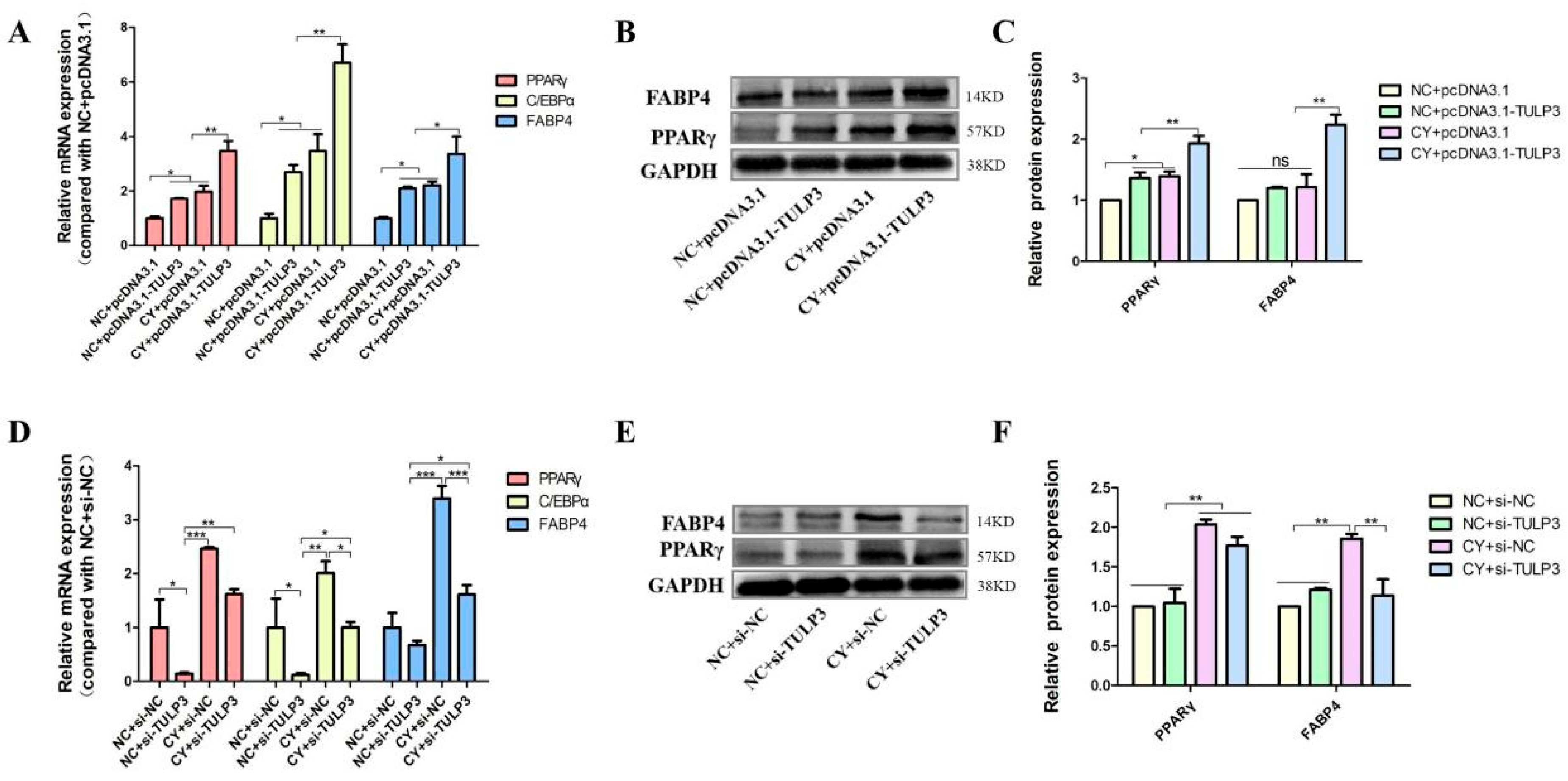 Biology 14 00369 g005