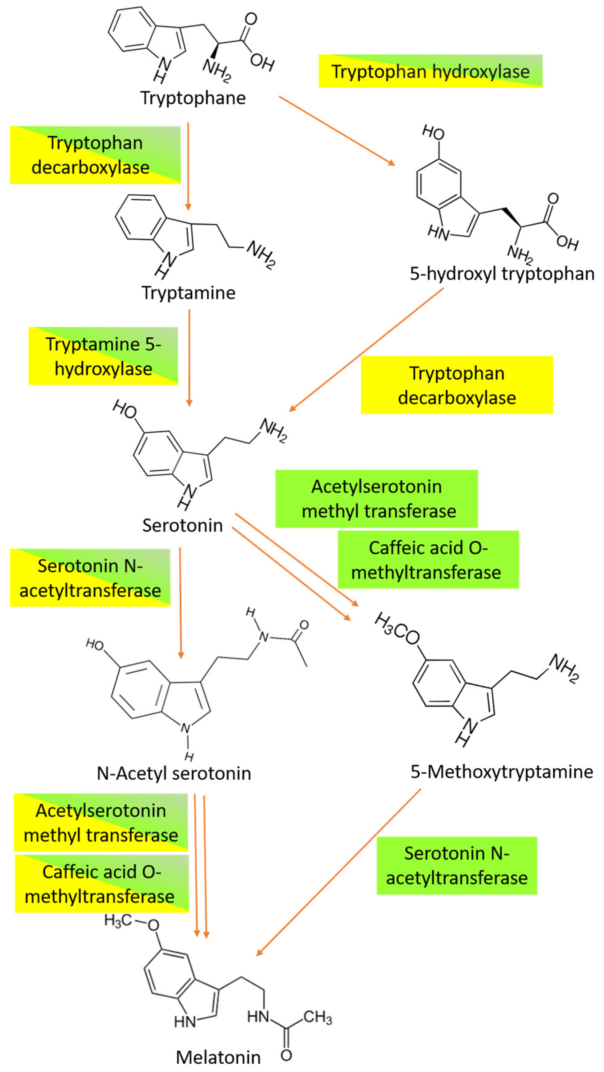 Biology 14 00371 g002