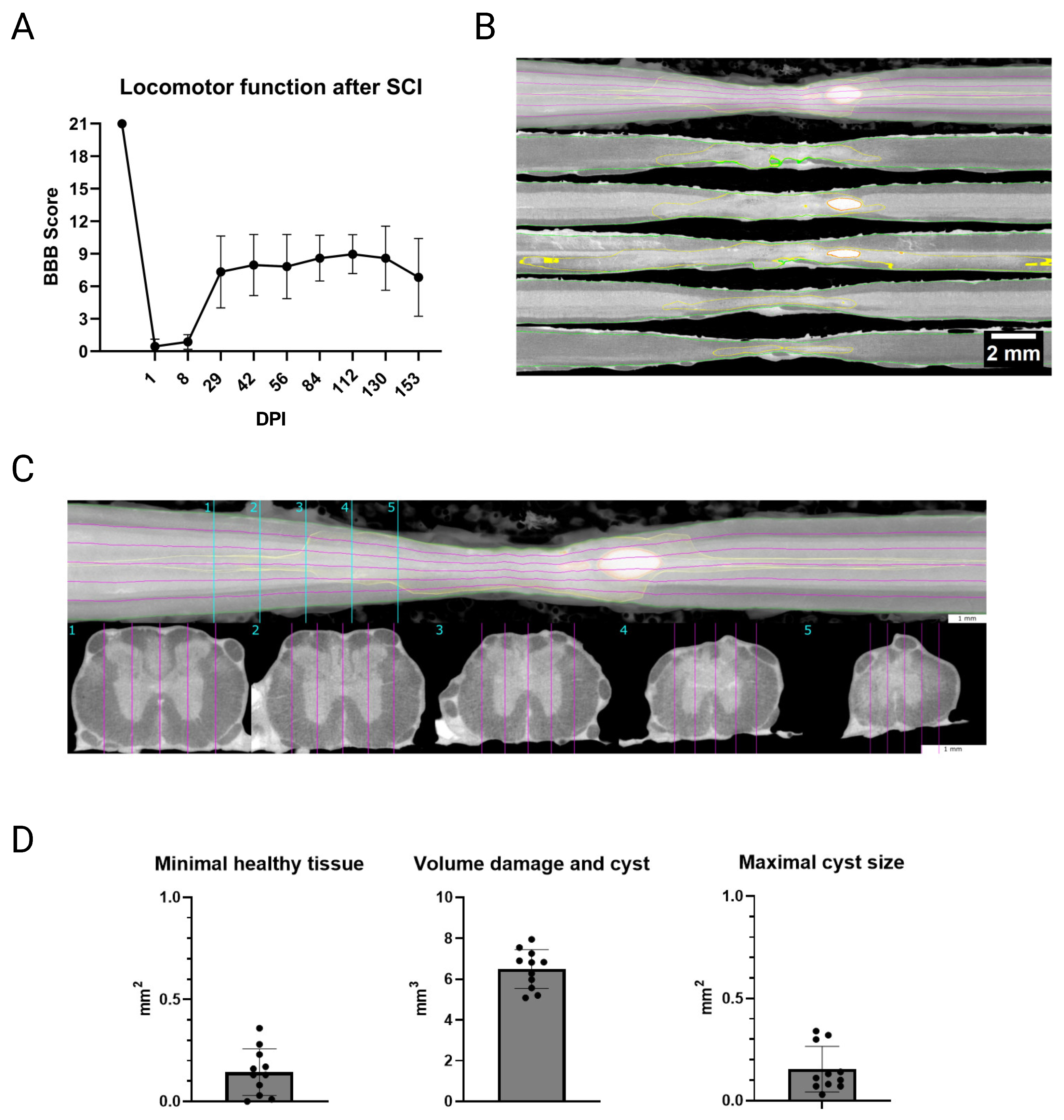 Biology 14 00373 g001