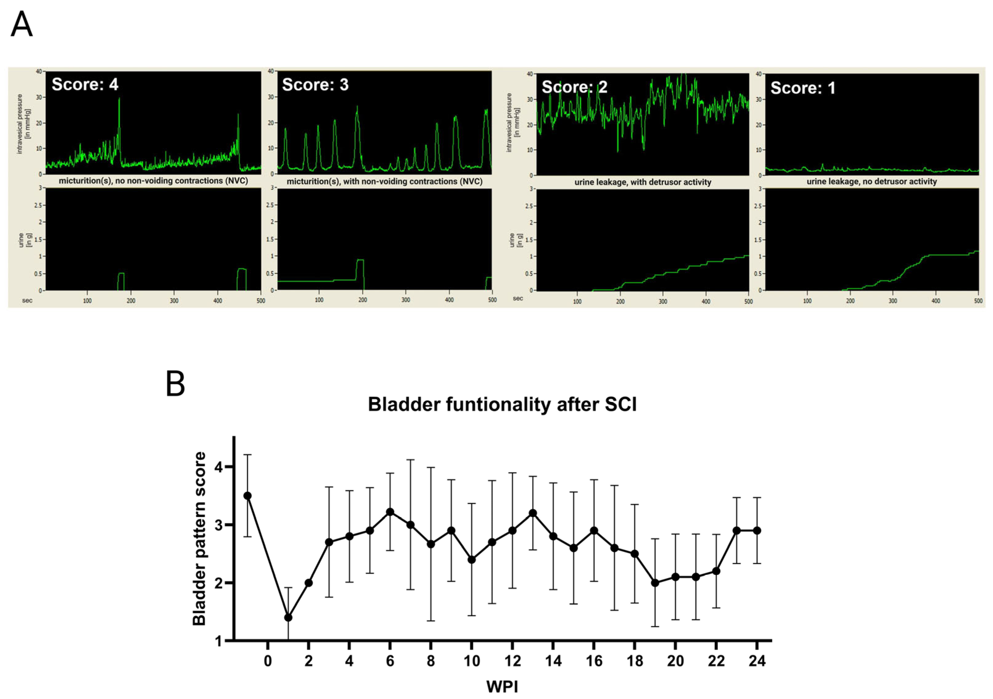 Biology 14 00373 g003