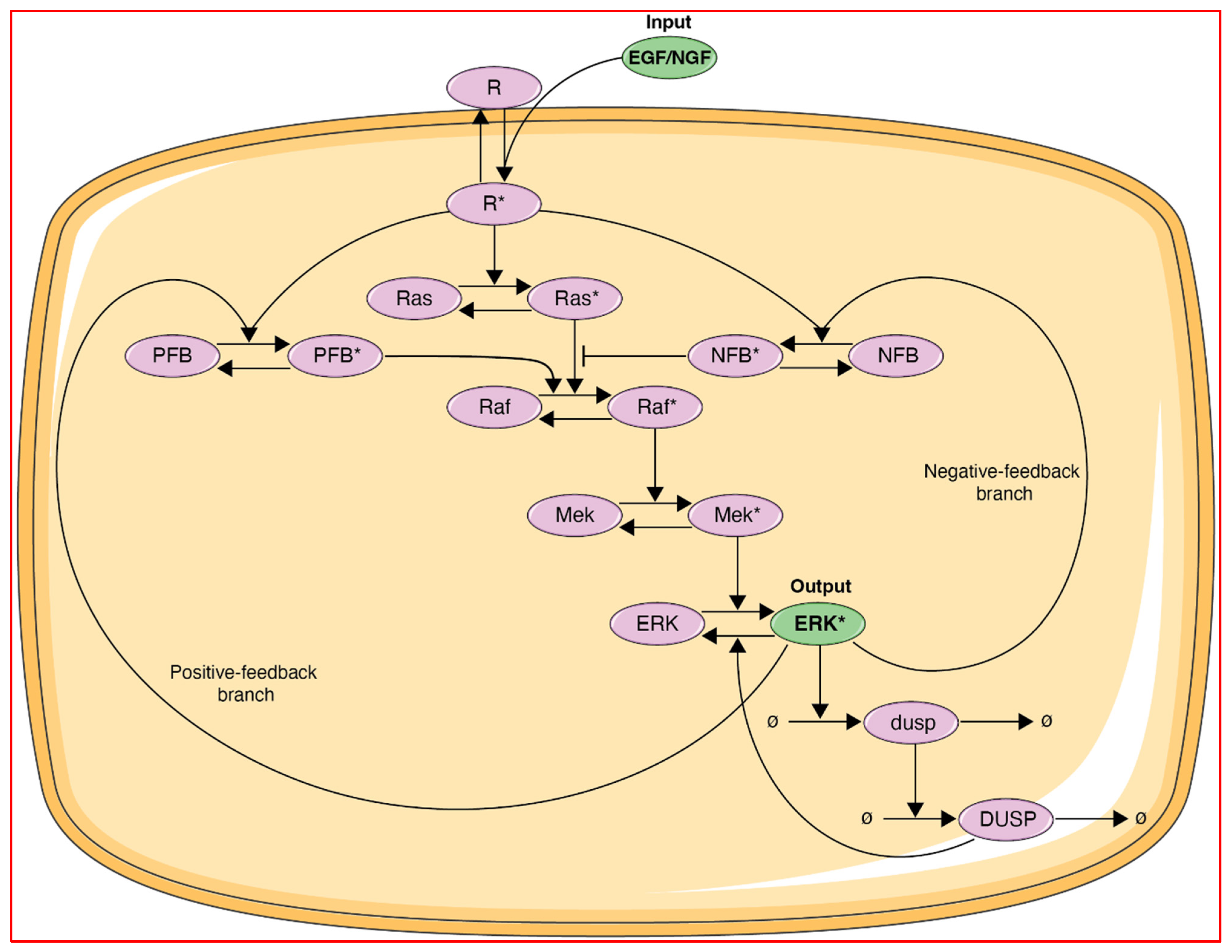 Biology 14 00374 g002