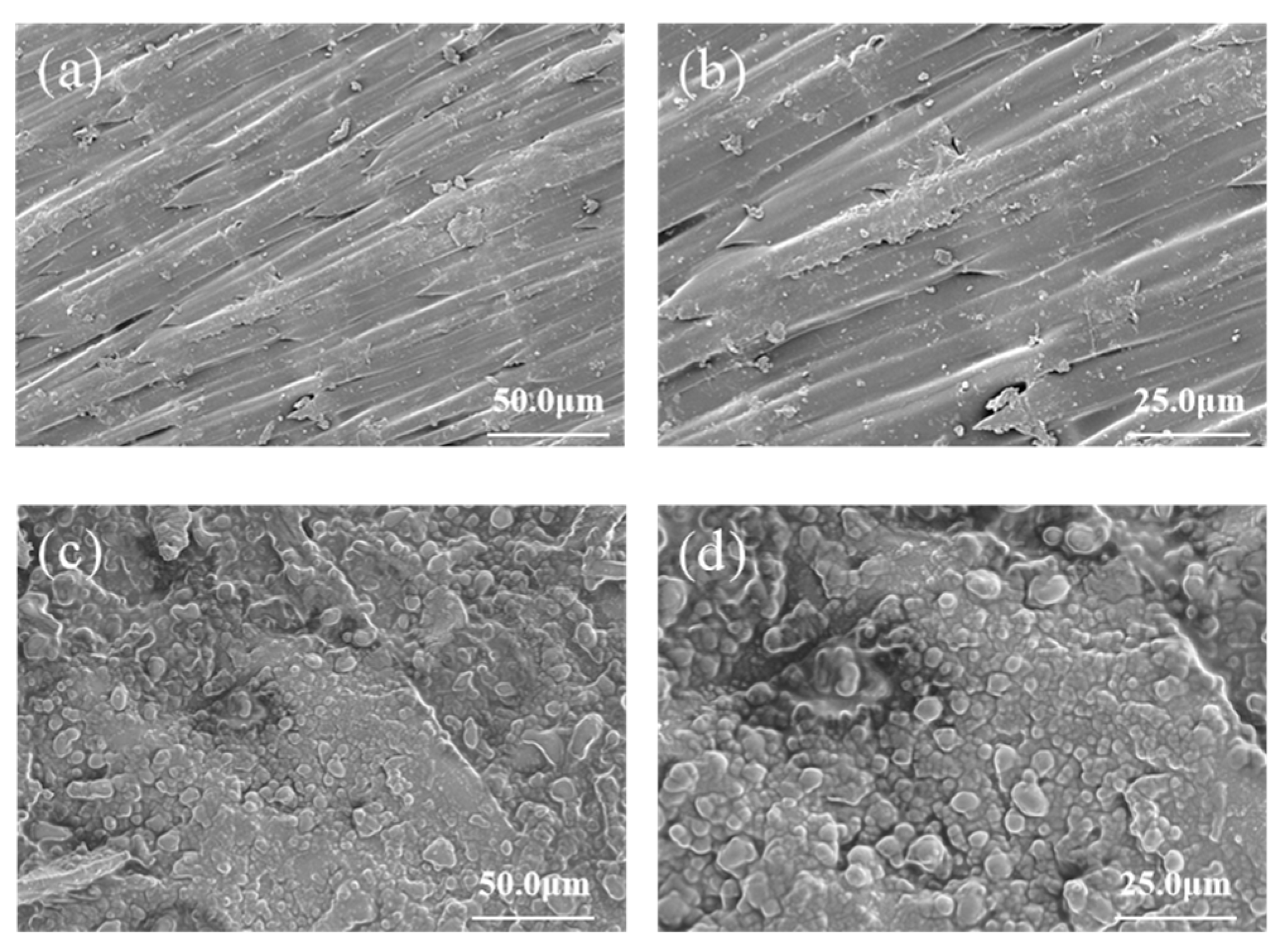 Biology 14 00375 g003 Biology 14 00375 g003
