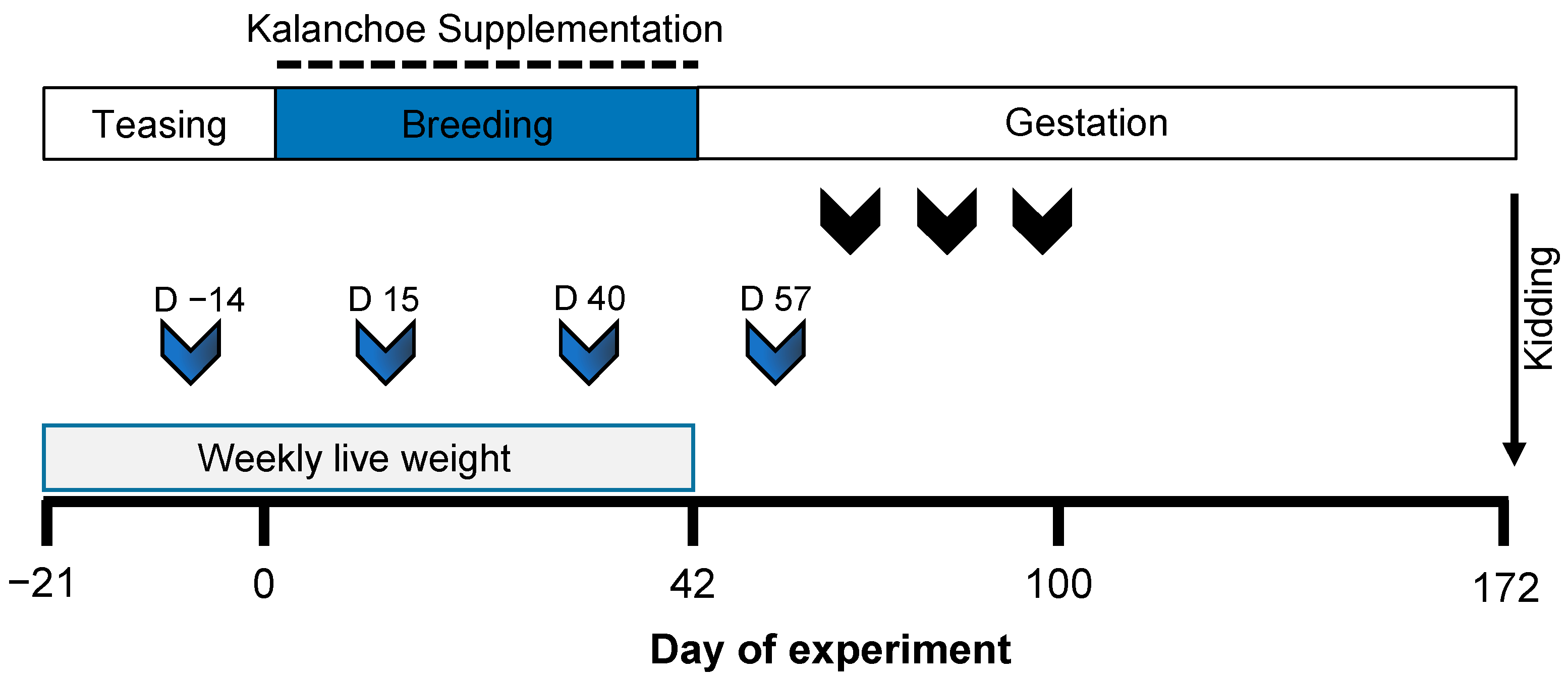 Biology 14 00376 g001