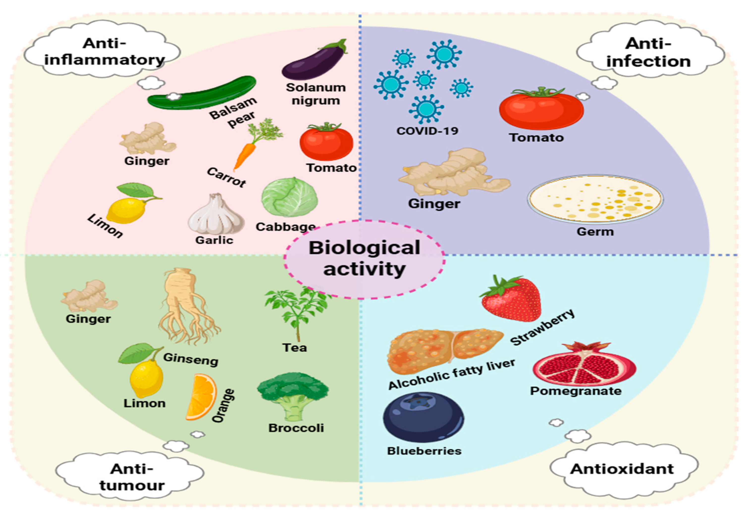 Biology 14 00377 g002