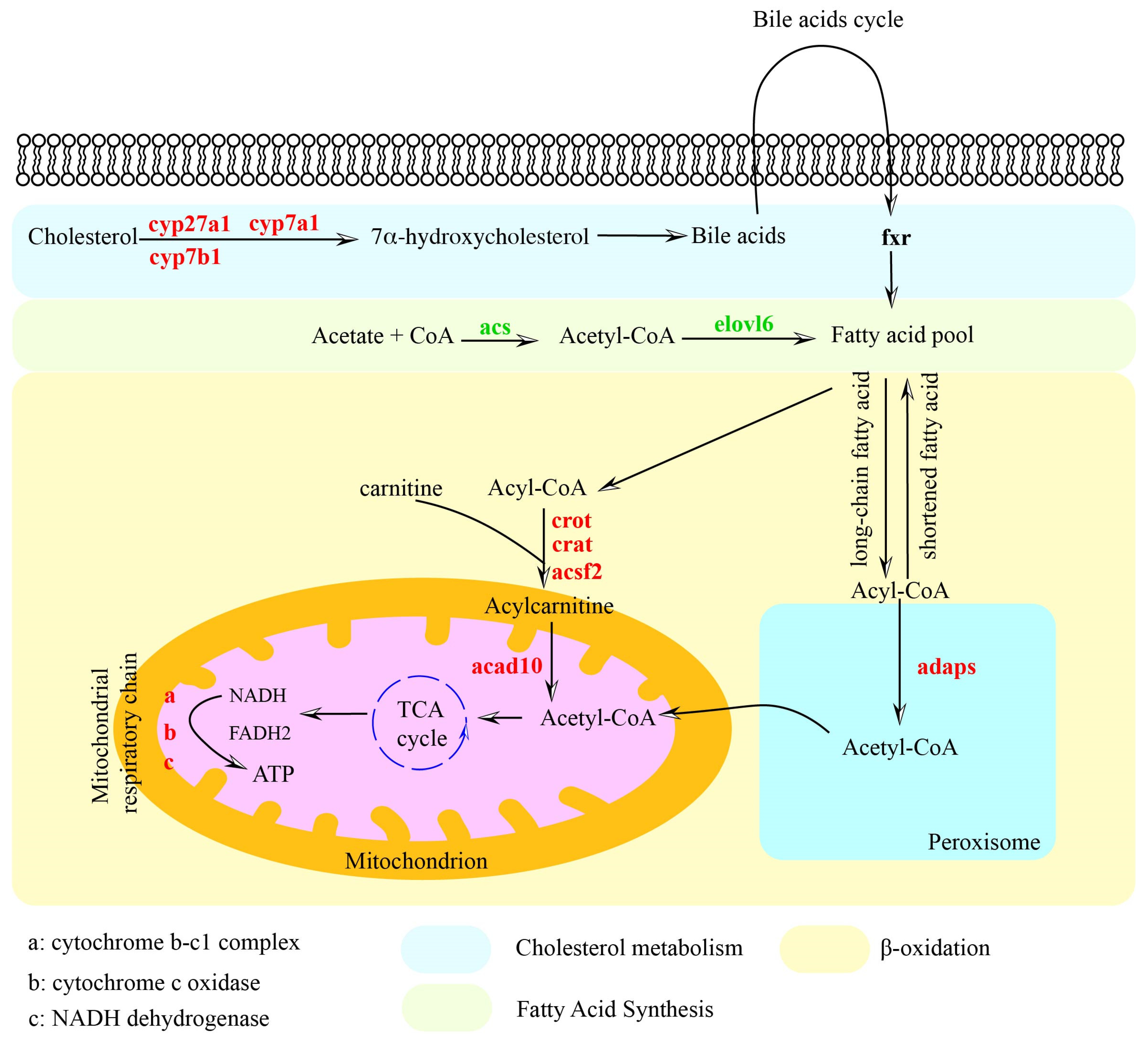 Biology 14 00381 g004