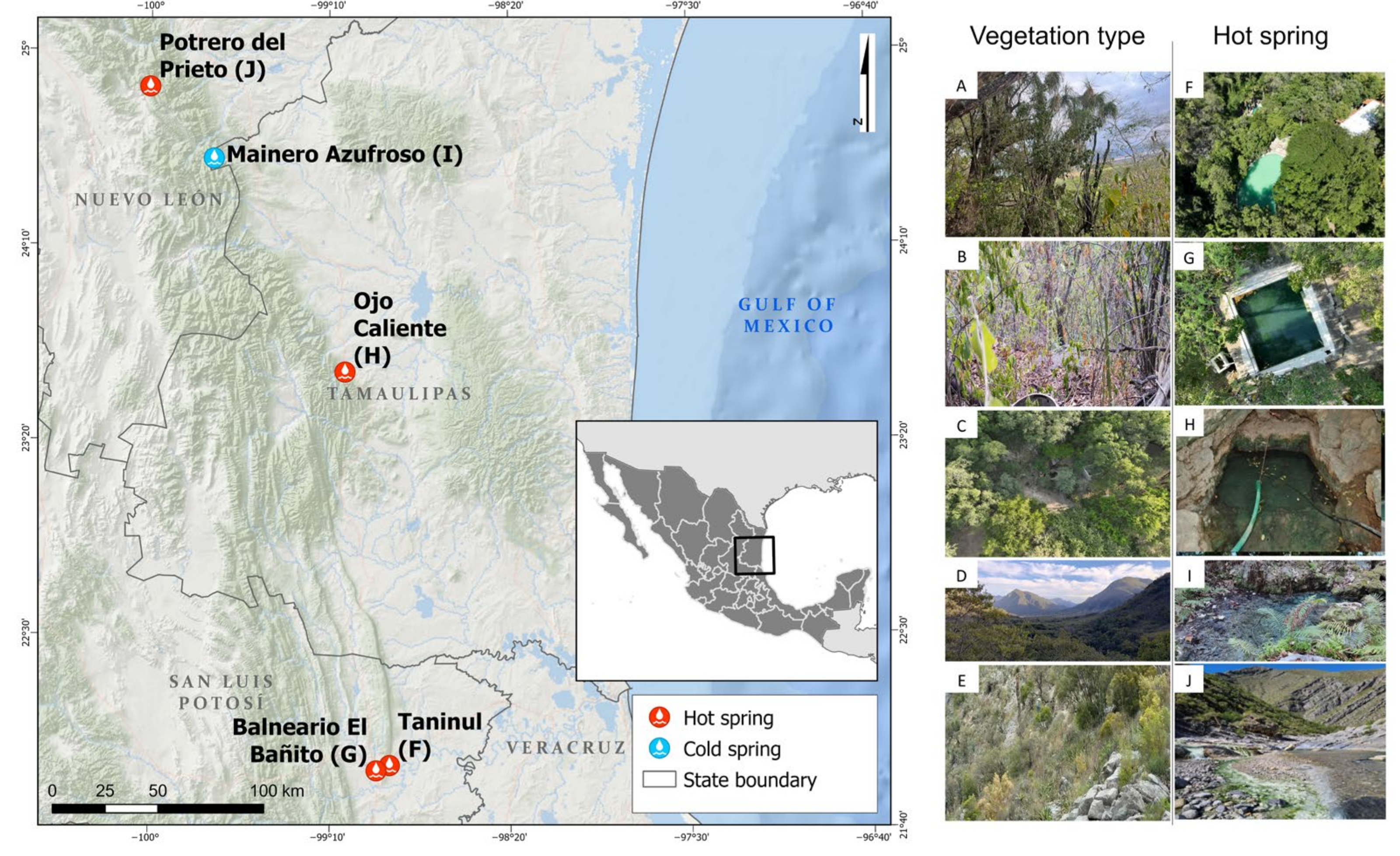 Biology 14 00382 g001 Biology 14 00382 g001