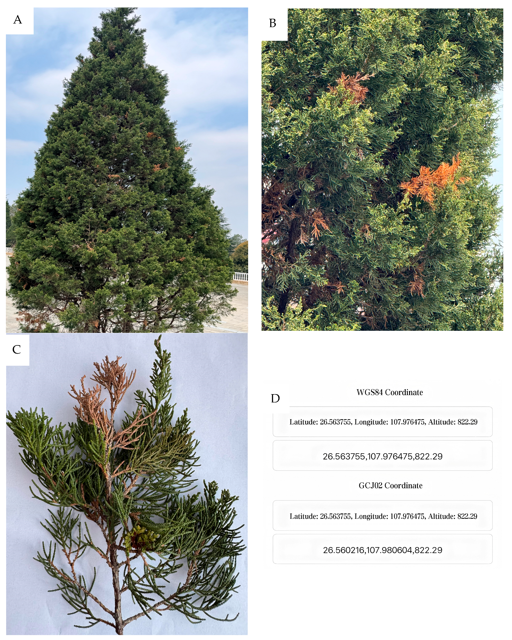 Biology 14 00385 g001