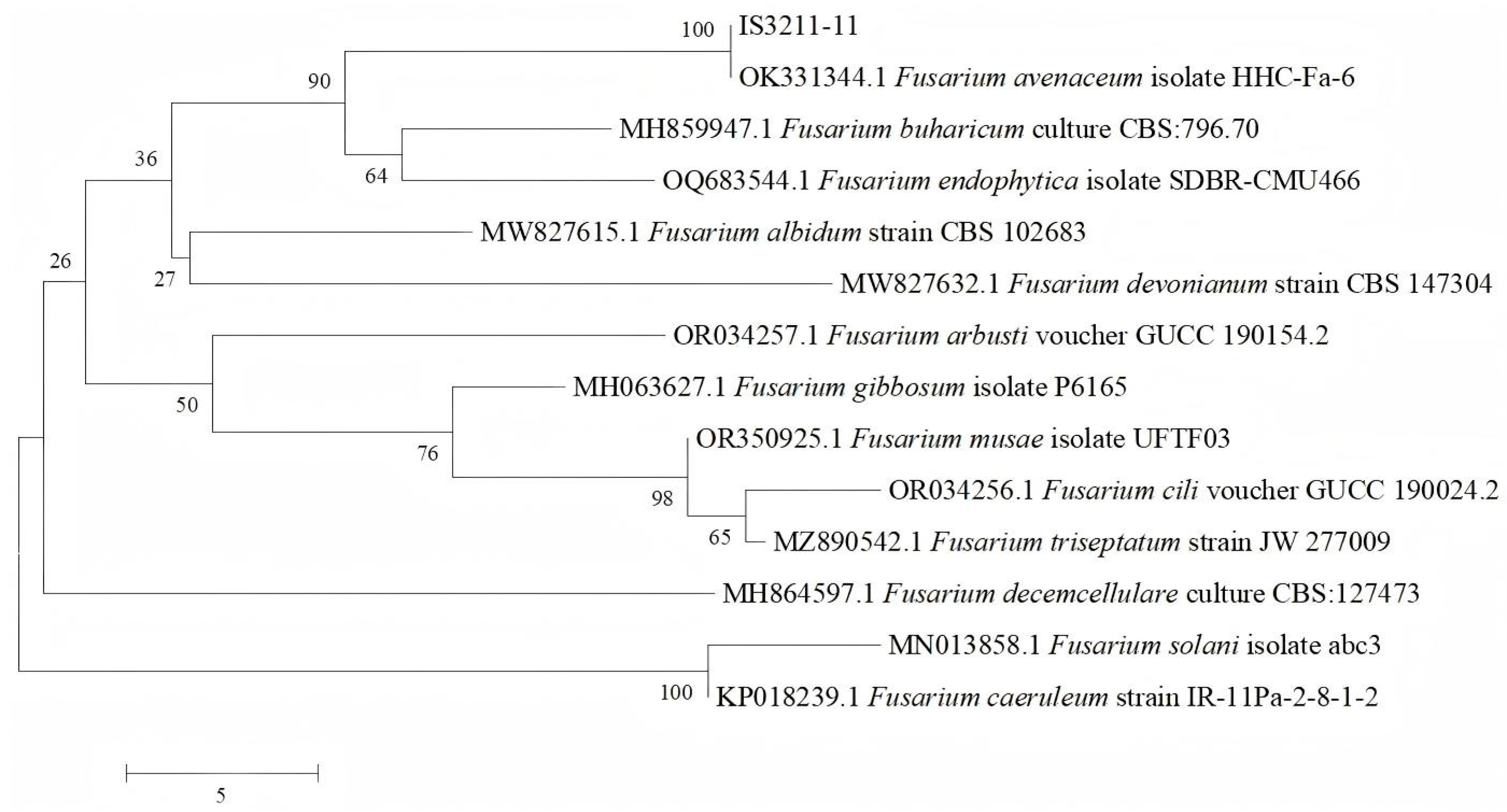 Biology 14 00385 g004