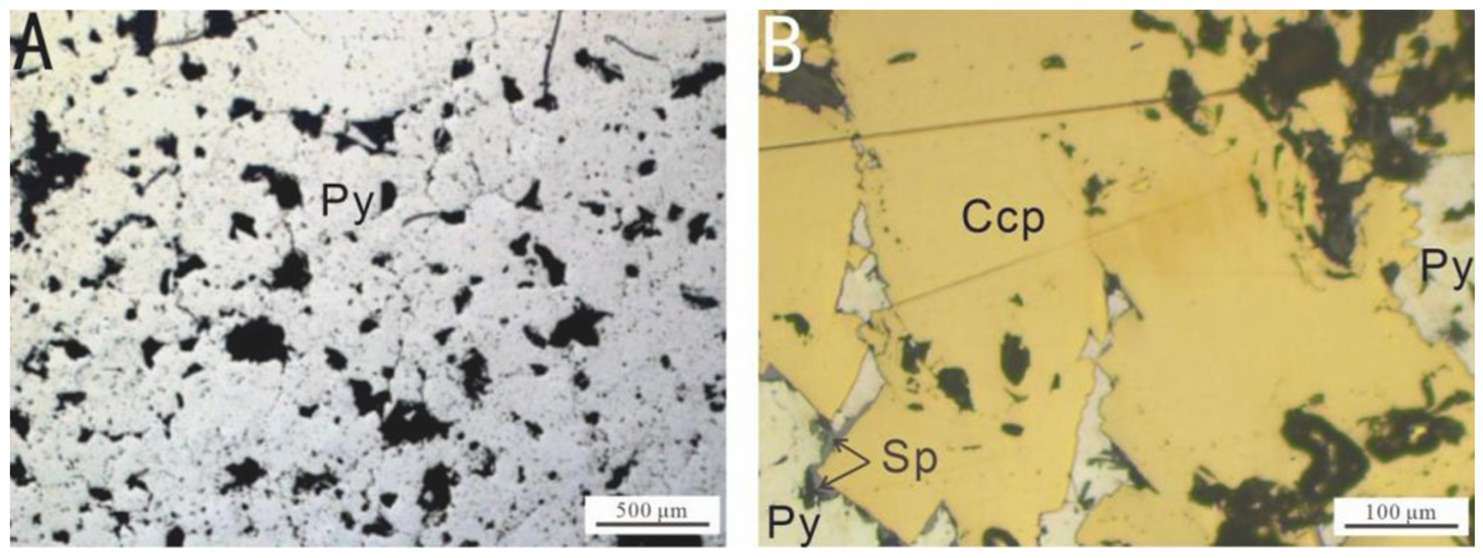 Biology 14 00389 g002