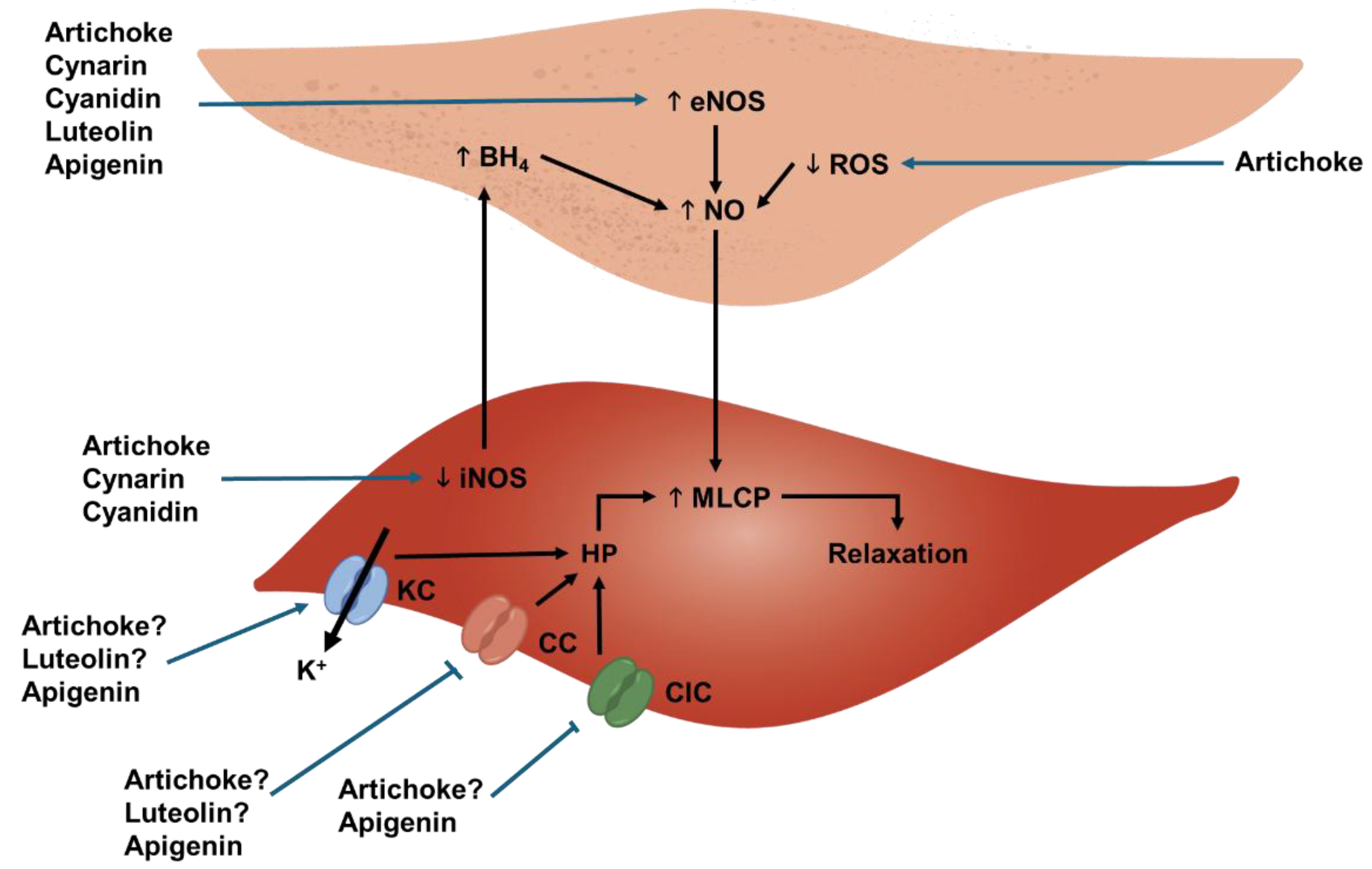 Biology 14 00397 g002