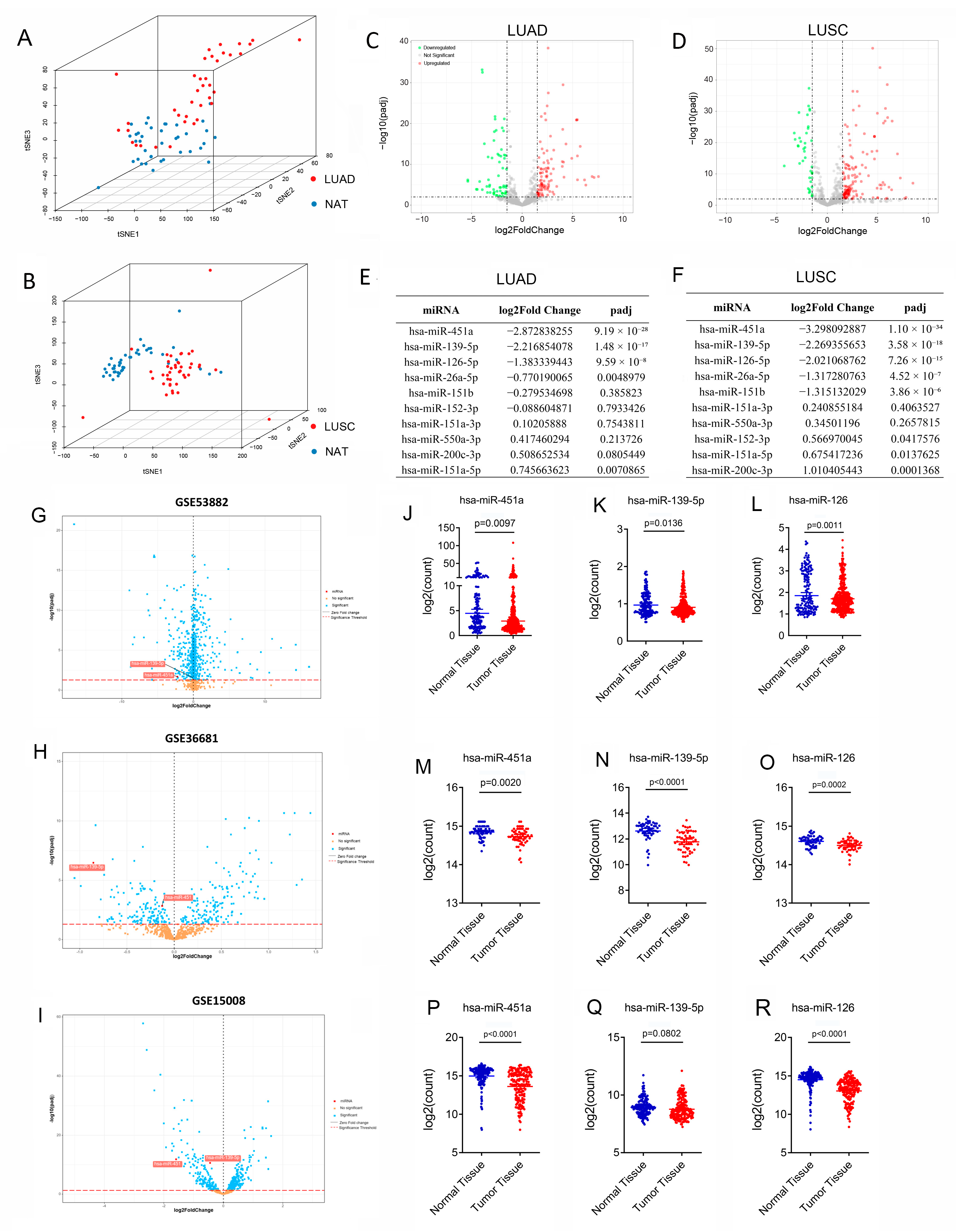 Biology 14 00399 g001